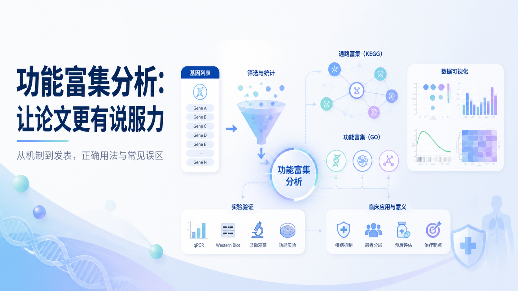 功能富集分析如何快速提升论文说服力？