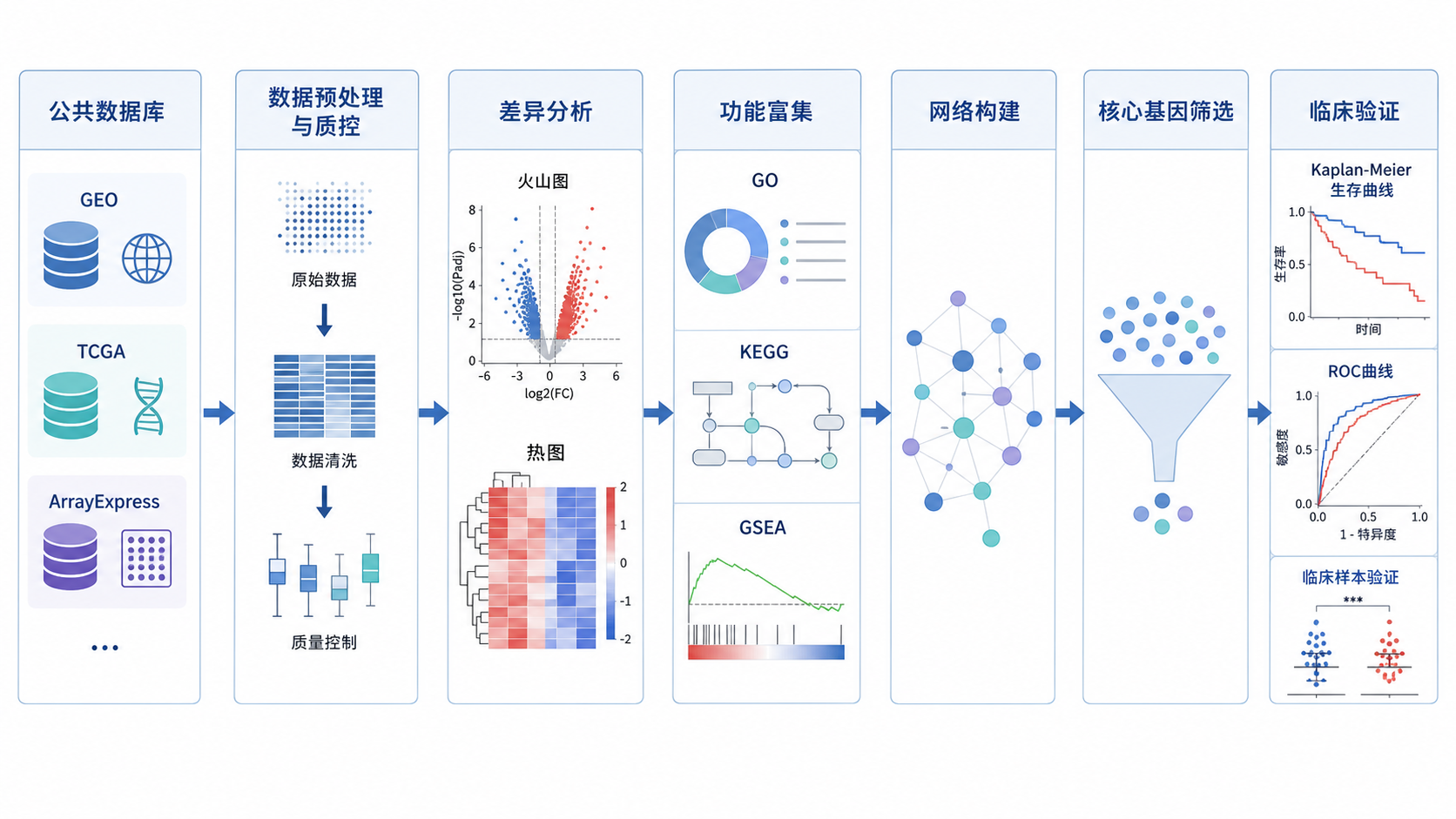 一张生信分析流程图，展示从公共数据库到差异分析、功能富集、网络构建和临床验证的完整路径。