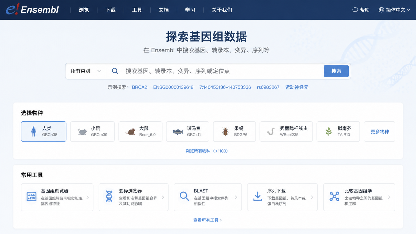 Ensembl首页界面截图，突出搜索栏、物种选择栏和常用工具入口，适合教学场景。