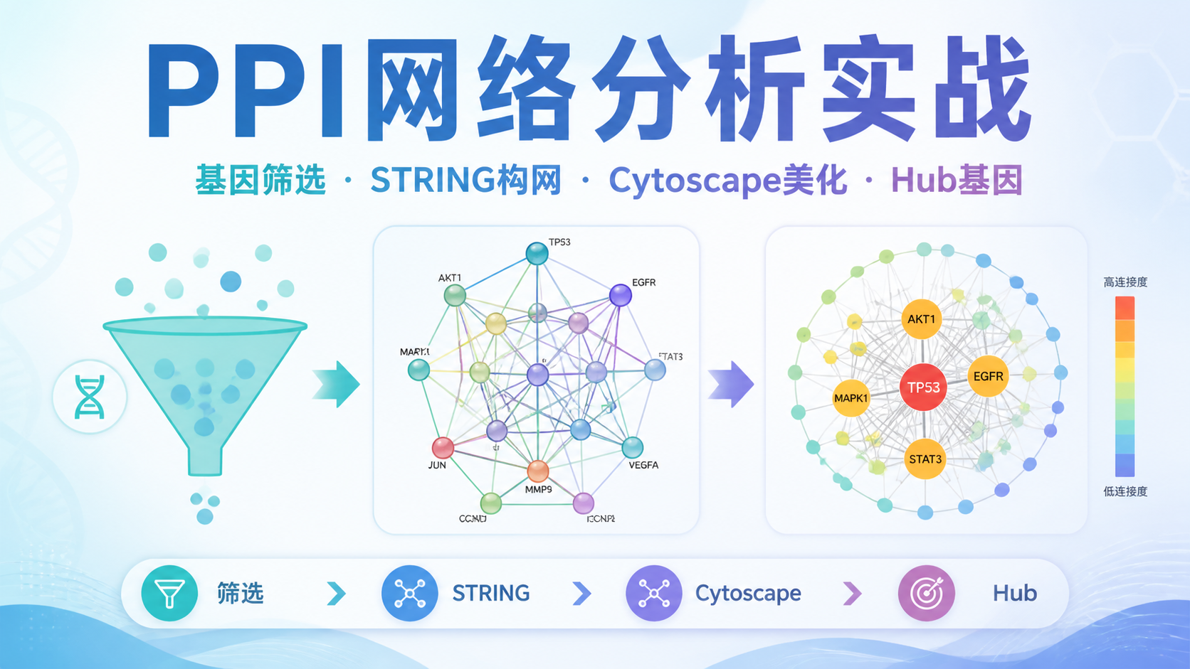PPI网络作图怎么做？3大关键技巧