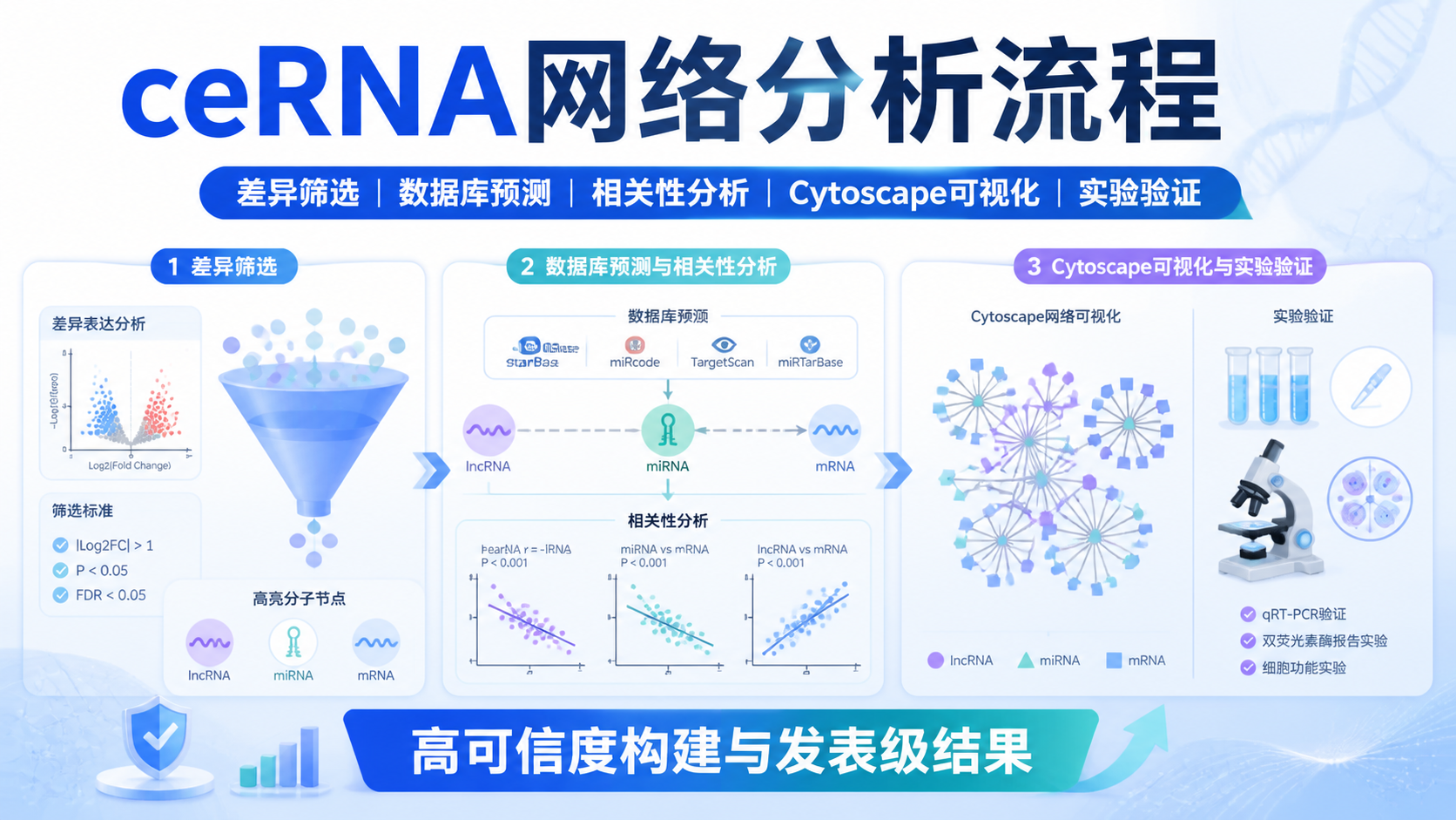 ceRNA网络分析流程怎么做？3大关键环节