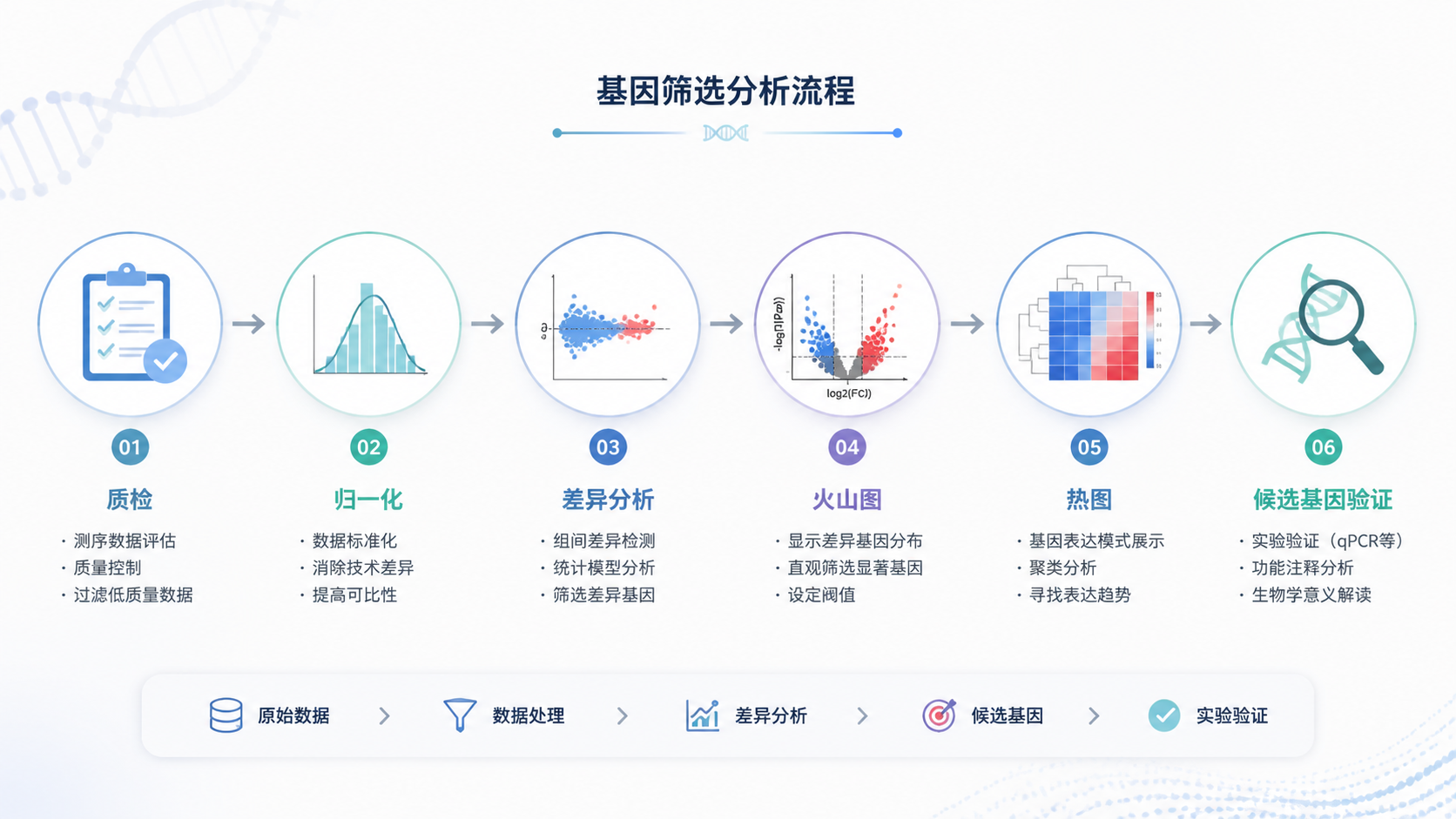 基因筛选流程图，展示质检、归一化、差异分析、火山图、热图和候选基因验证的完整链路。
