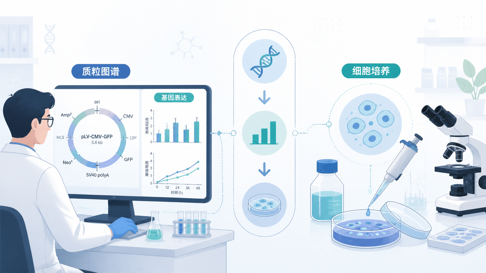 实验室中研究人员查看质粒图谱、基因表达分析图和细胞培养场景的组合示意图