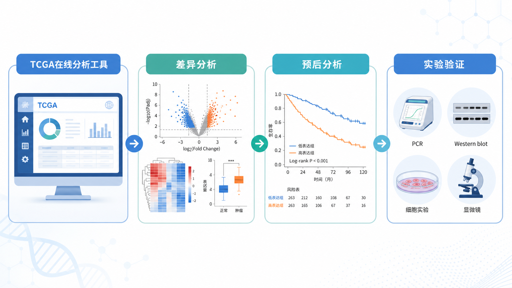 一张科研工作流示意图，展示TCGA在线分析工具到差异分析、预后分析、实验验证的完整流程