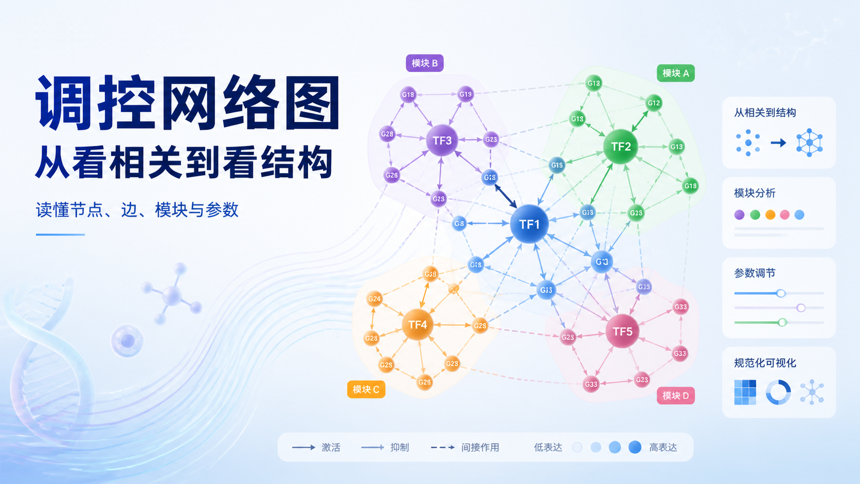 为什么调控网络图如此重要？7分钟读懂