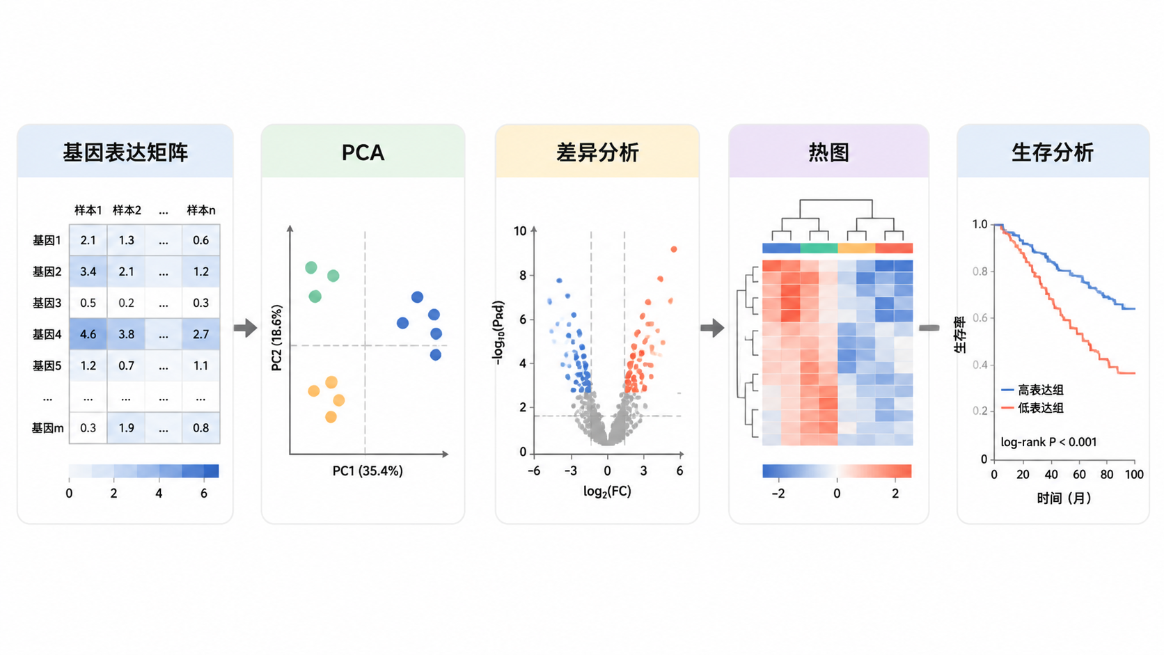整洁的转录组分析流程图，从基因表达矩阵到PCA、差异分析、热图和生存分析。