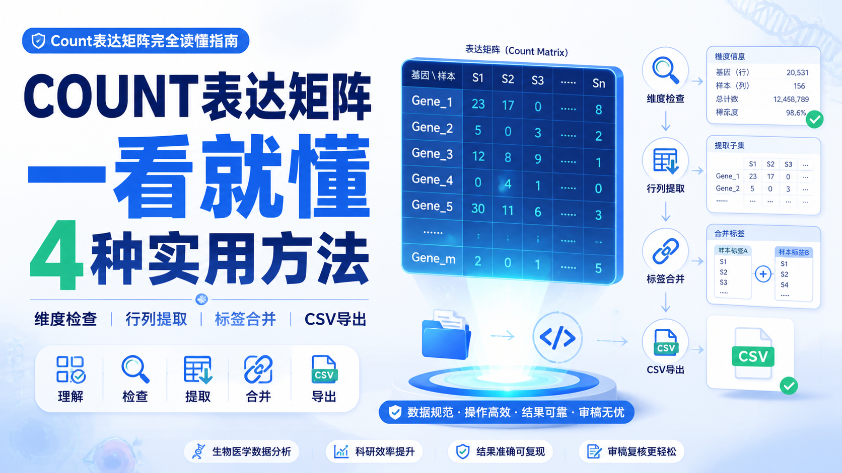 高效解读count表达矩阵的4大方法