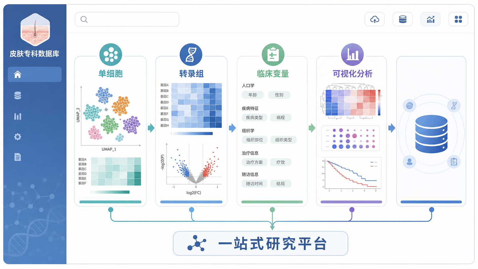 皮肤专科数据库界面示意图，叠加单细胞、转录组、临床变量和可视化分析模块，突出“一站式研究平台”概念