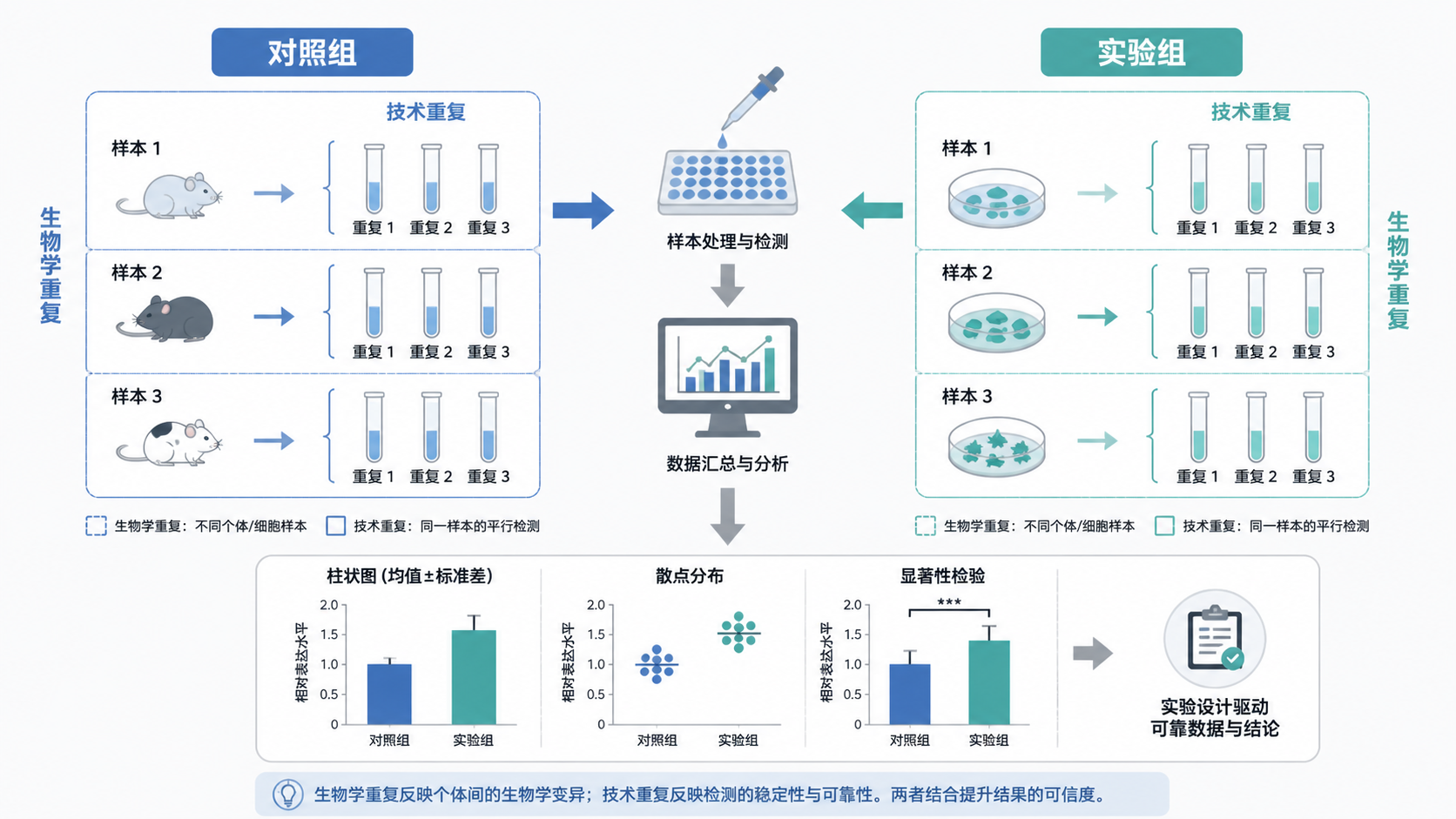 实验分组示意图,展示技术重复、生物学重复、对照组与实验组的区别,配有简洁统计图标。