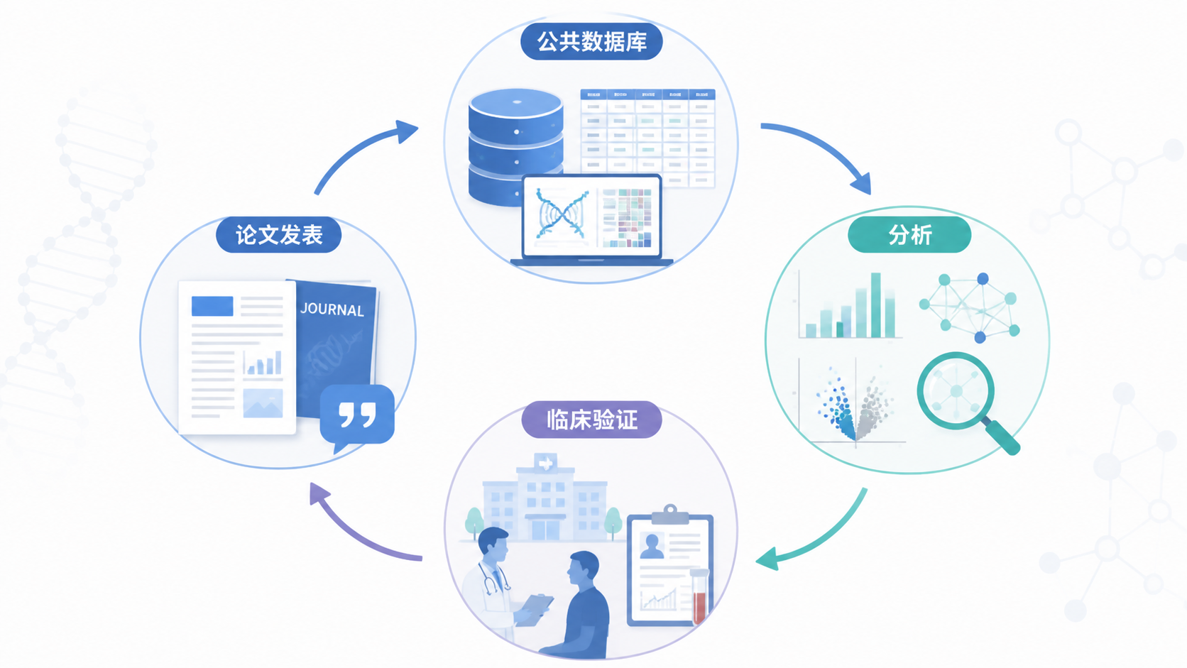 一张展示科研流程闭环的插图,从公共数据库分析到临床验证再到论文发表