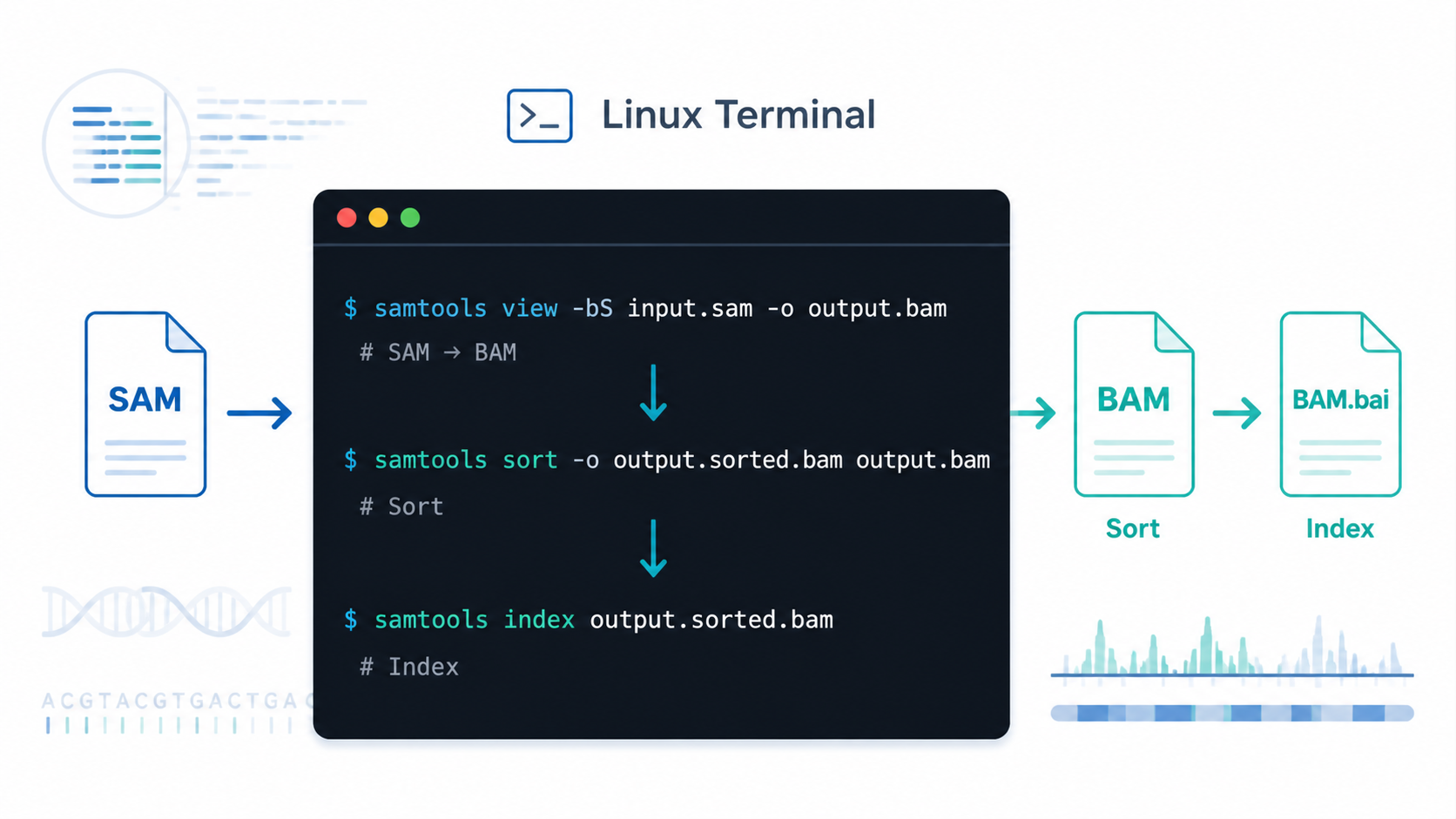 Linux终端中显示SAM转BAM、排序和索引流程的示意图，旁边配有测序比对文件图标