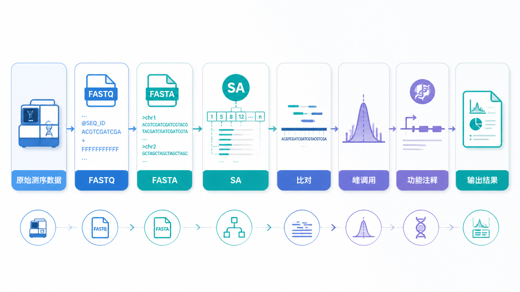 展示ChIP-seq从原始测序到比对、峰调用、功能注释的流程图，突出FASTA/FASTQ/SAM/BAM文件转换关系