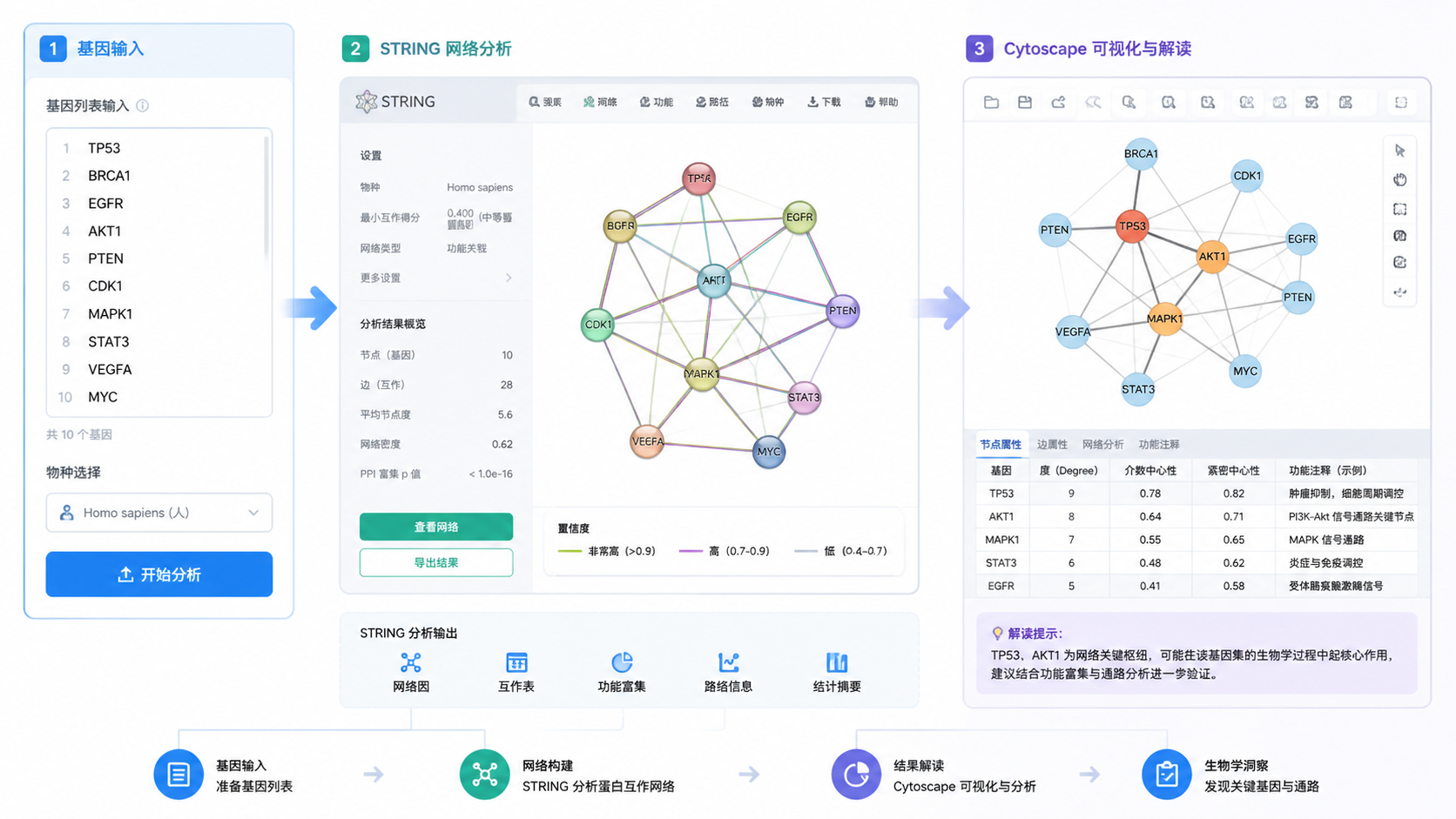 一张包含STRING网络和Cytoscape界面的科研示意图，突出“基因输入到网络解读”的流程感。