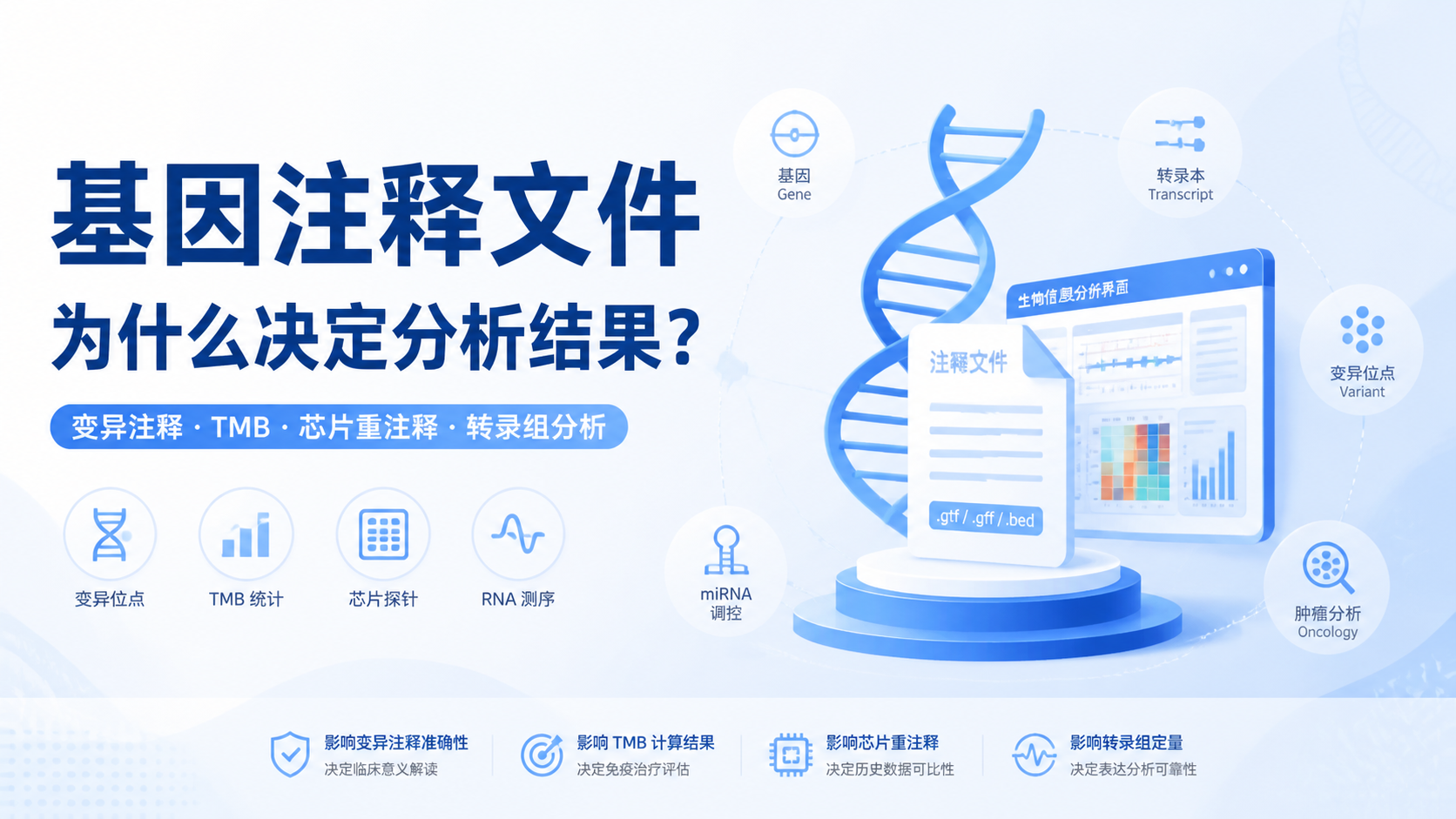 基因注释文件如何影响精准分析？