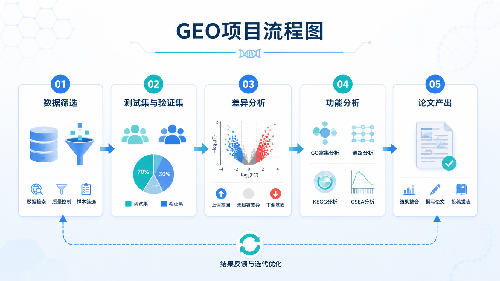 一张完成整理的GEO项目流程图，包含数据筛选、测试集与验证集、差异分析、功能分析和论文产出，强调专业化科研支持。