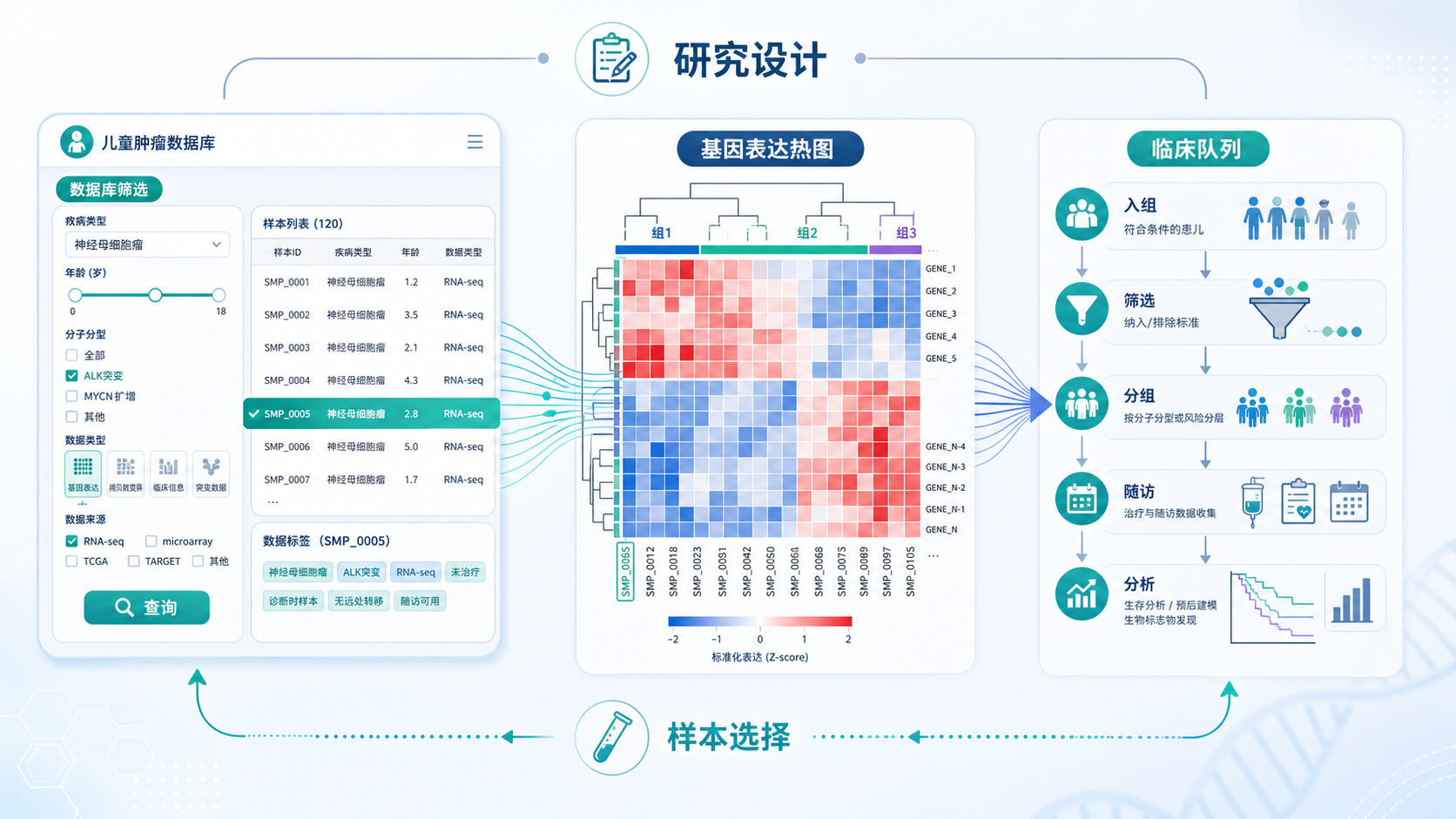 儿童肿瘤数据库界面、基因表达热图和临床队列示意图，突出“数据选择与研究设计”主题