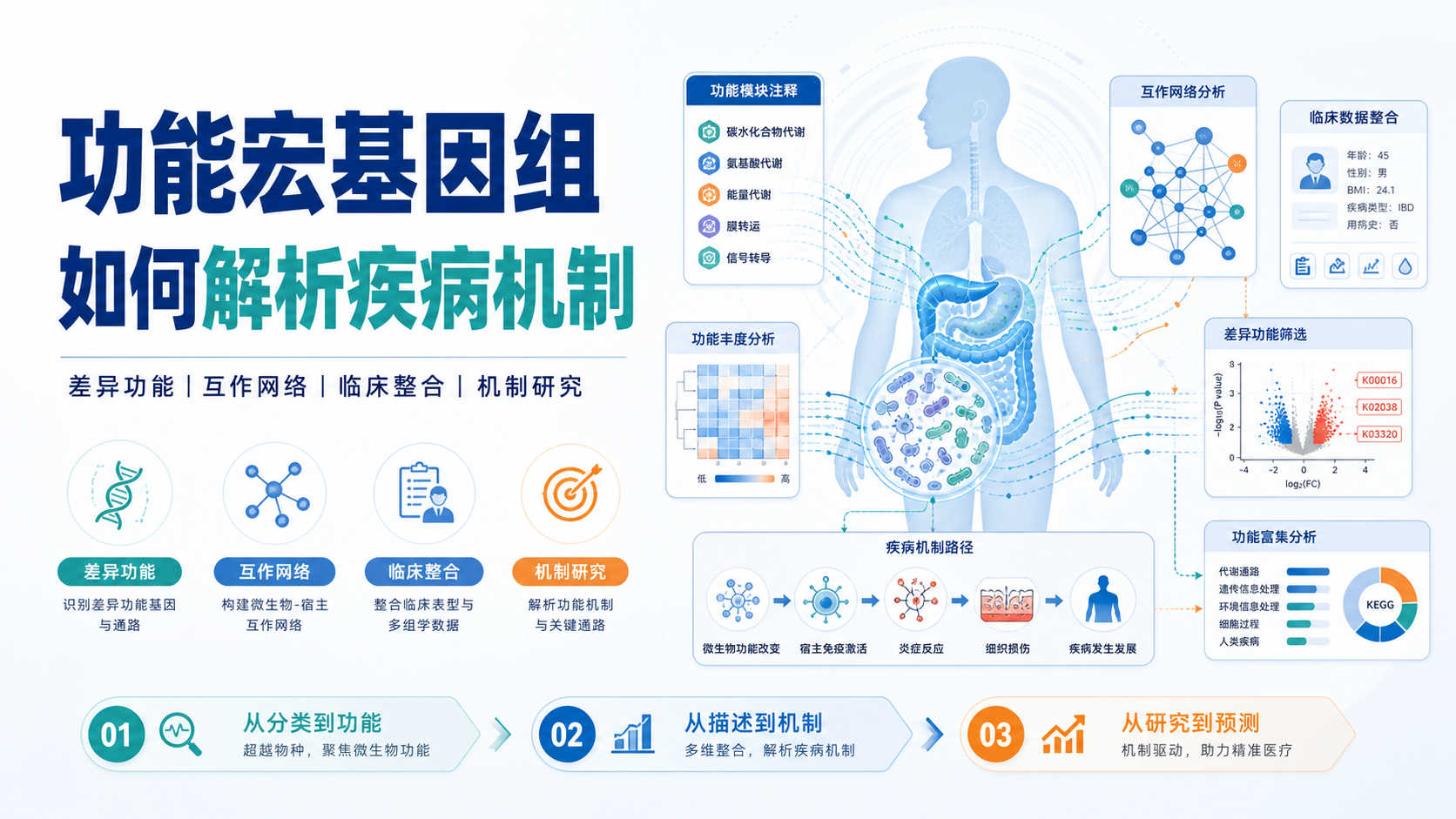 功能宏基因组在疾病机制研究中的关键作用