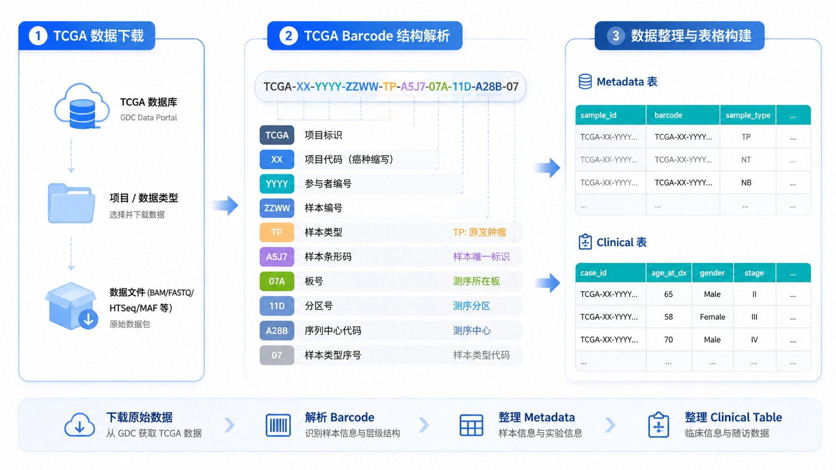 TCGA数据下载、barcode结构、metadata与临床表格并列展示的科研流程图