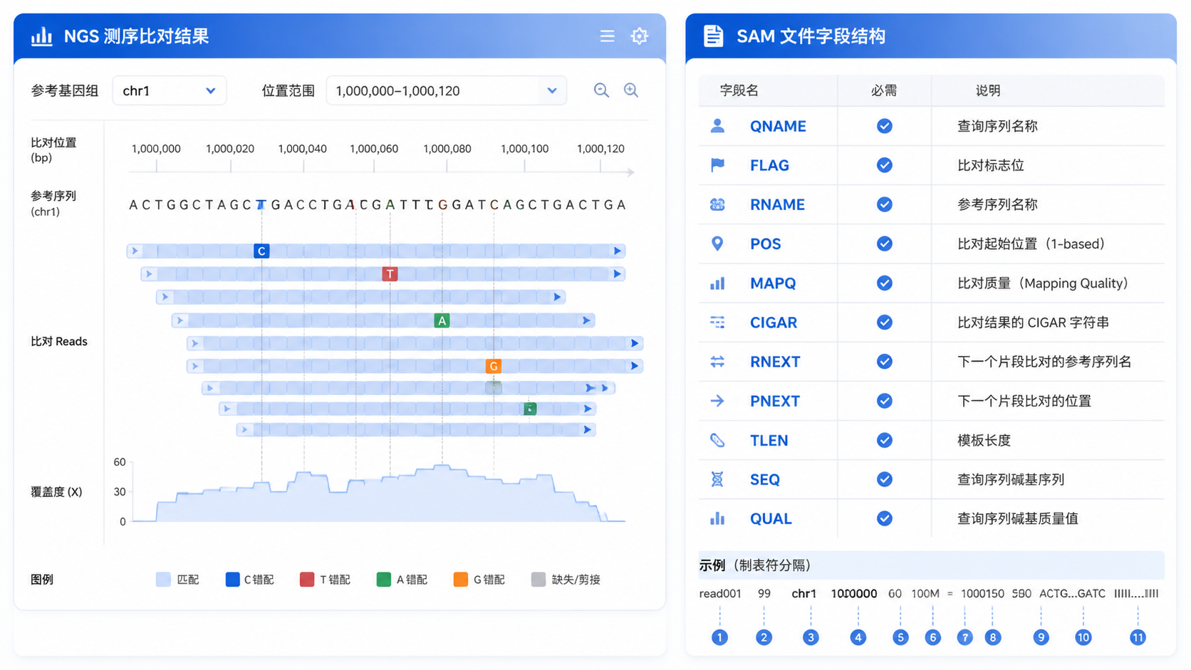 一张展示NGS测序比对结果界面、SAM文件字段结构示意图的专业科研风格配图