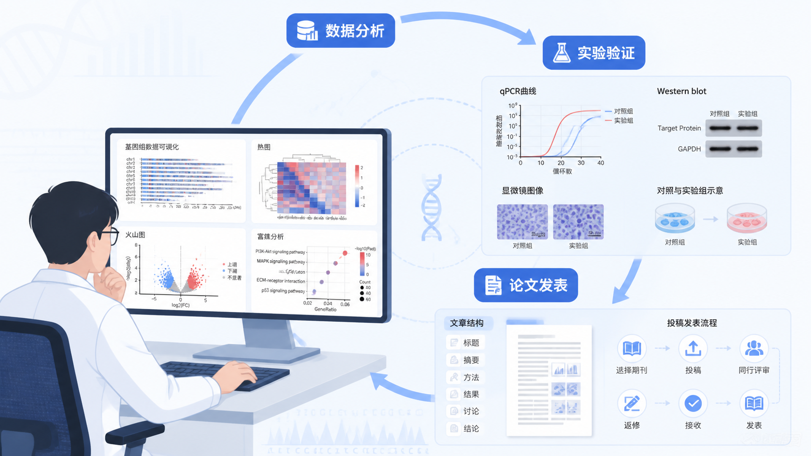 科研人员在电脑前查看生信结果，旁边叠加实验验证图和文章结构示意，体现“从数据到发表”的闭环