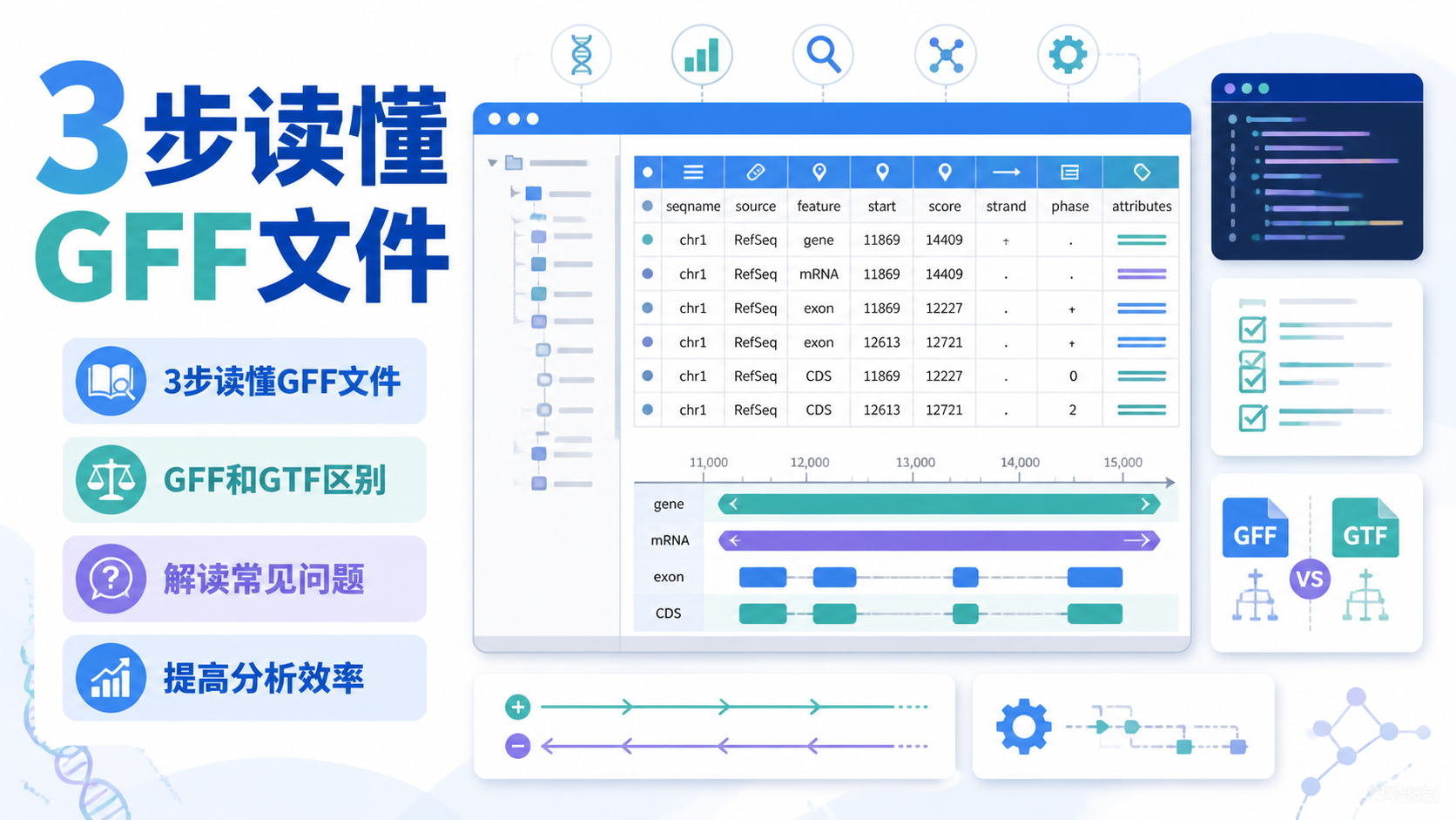 GFF文件解读难吗？3步快速掌握