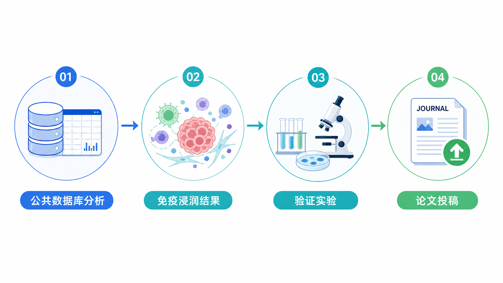 一张整洁的科研流程图，从公共数据库分析、免疫浸润结果、验证实验到论文投稿