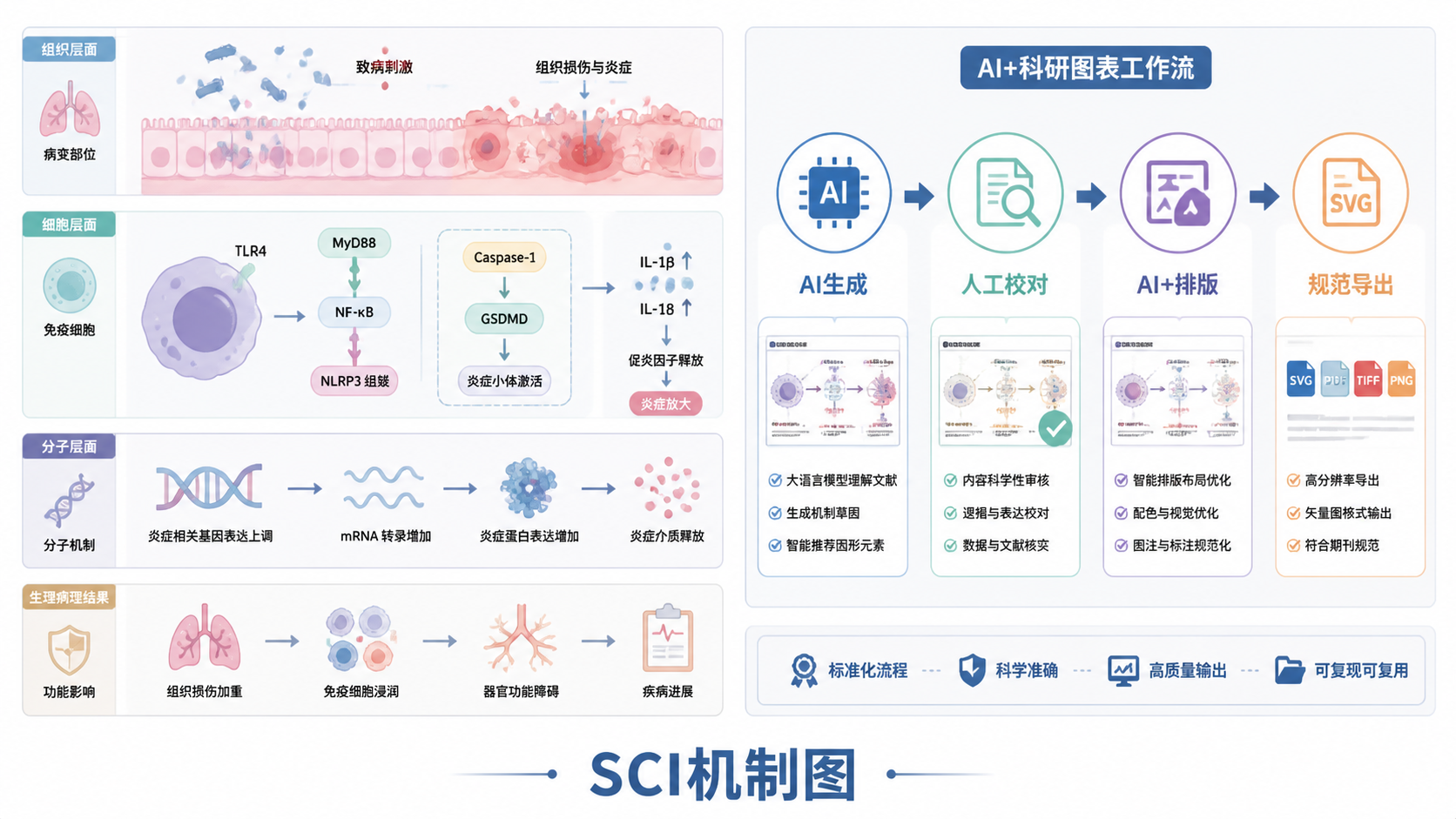 一张完成度高的SCI机制图发表级成图，旁边展示AI/AI+排版工作流示意，强调专业作图、规范导出和投稿准备。
