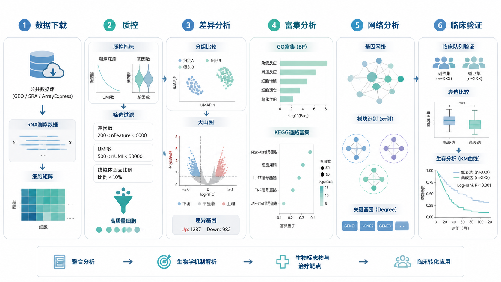 一张转录组或单细胞分析流程图，包含数据下载、质控、差异分析、富集分析、网络分析和临床验证六个步骤，整体风格专业简洁。