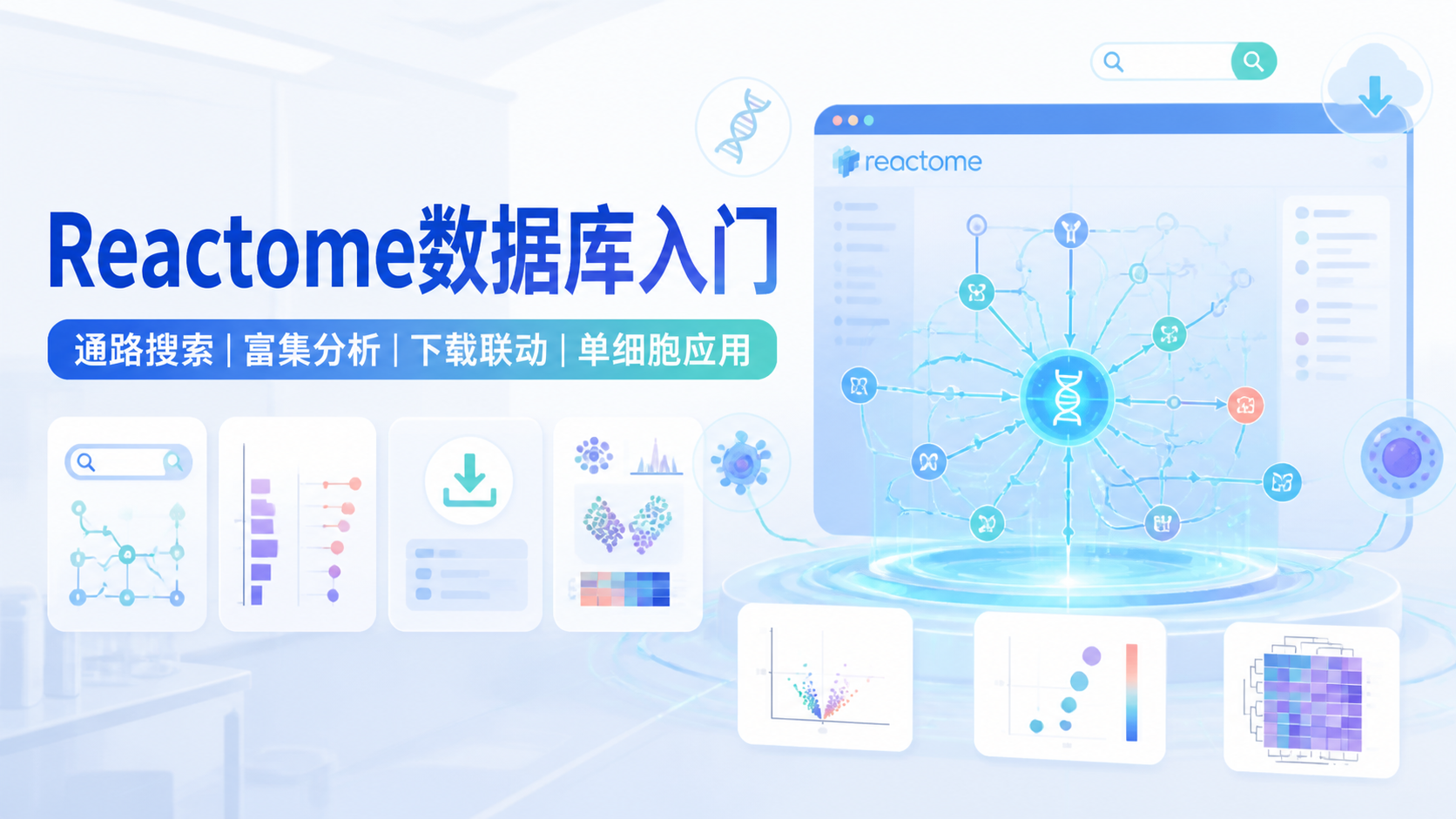 Reactome数据库怎么用？4步快速上手