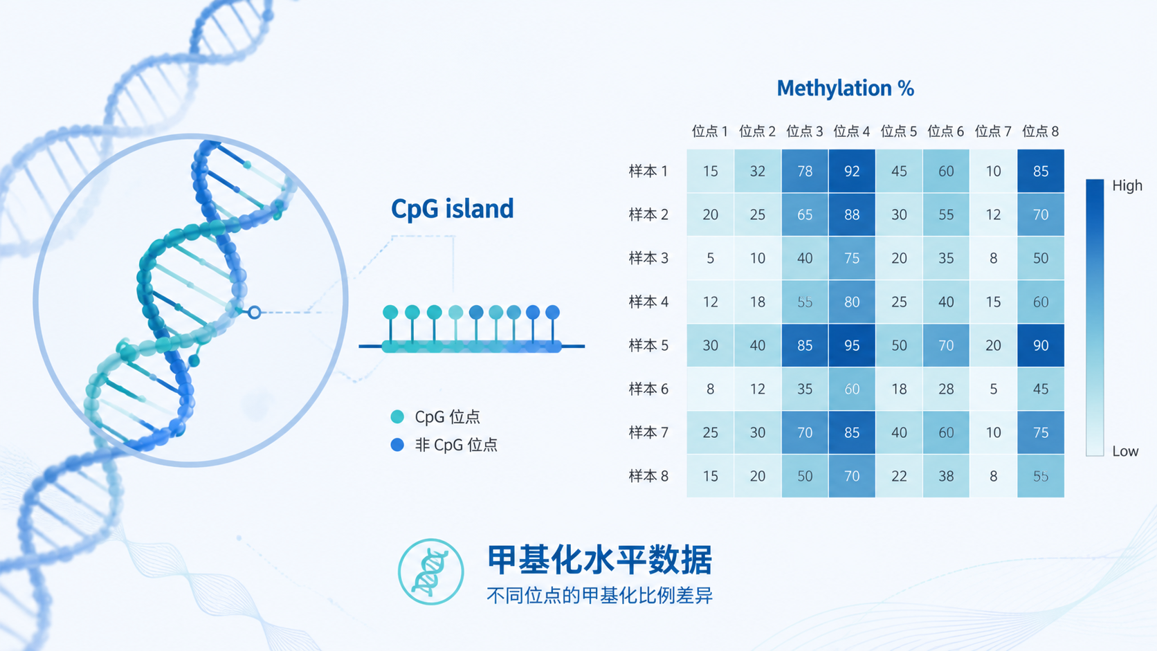 显微镜下DNA双螺旋与CpG岛示意图，旁边叠加甲基化百分比热图，突出“读懂甲基化水平数据”的主题