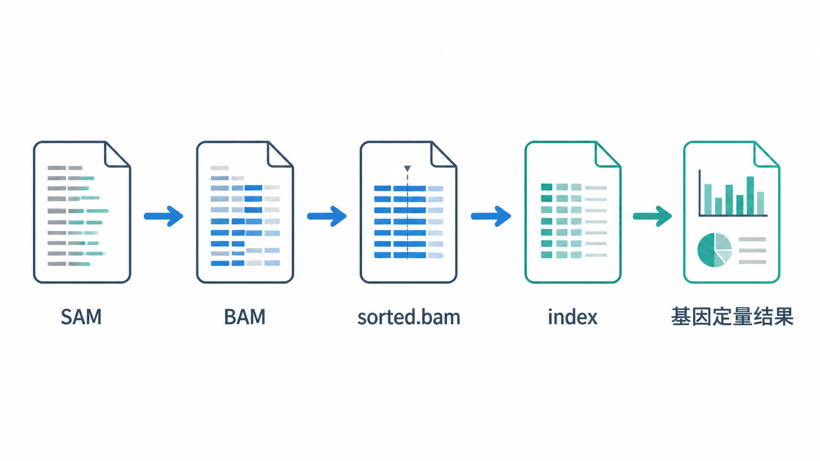 一张从SAM到BAM、sorted.bam、索引和基因定量结果的流程总览图，风格专业简洁，适合科研博客封面