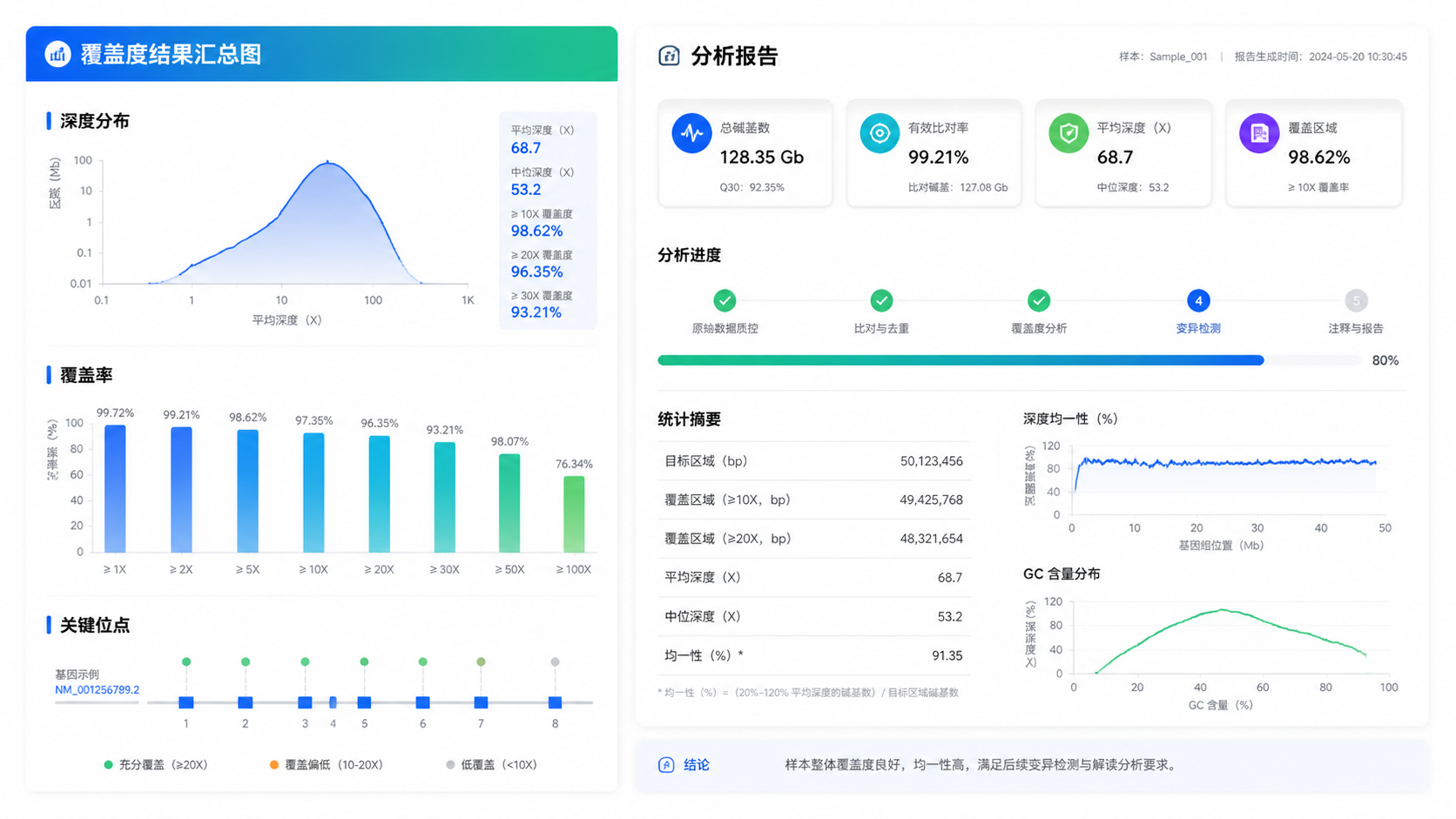 一张覆盖度结果汇总图，包含深度分布、覆盖率柱状图和关键位点示意，右侧展示规范化分析报告界面。