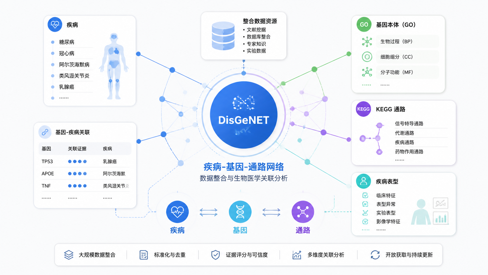 疾病基因与通路网络图，中心为DisGeNET，周围连接GO、KEGG和疾病表型标签，突出“疾病-基因-功能”关系