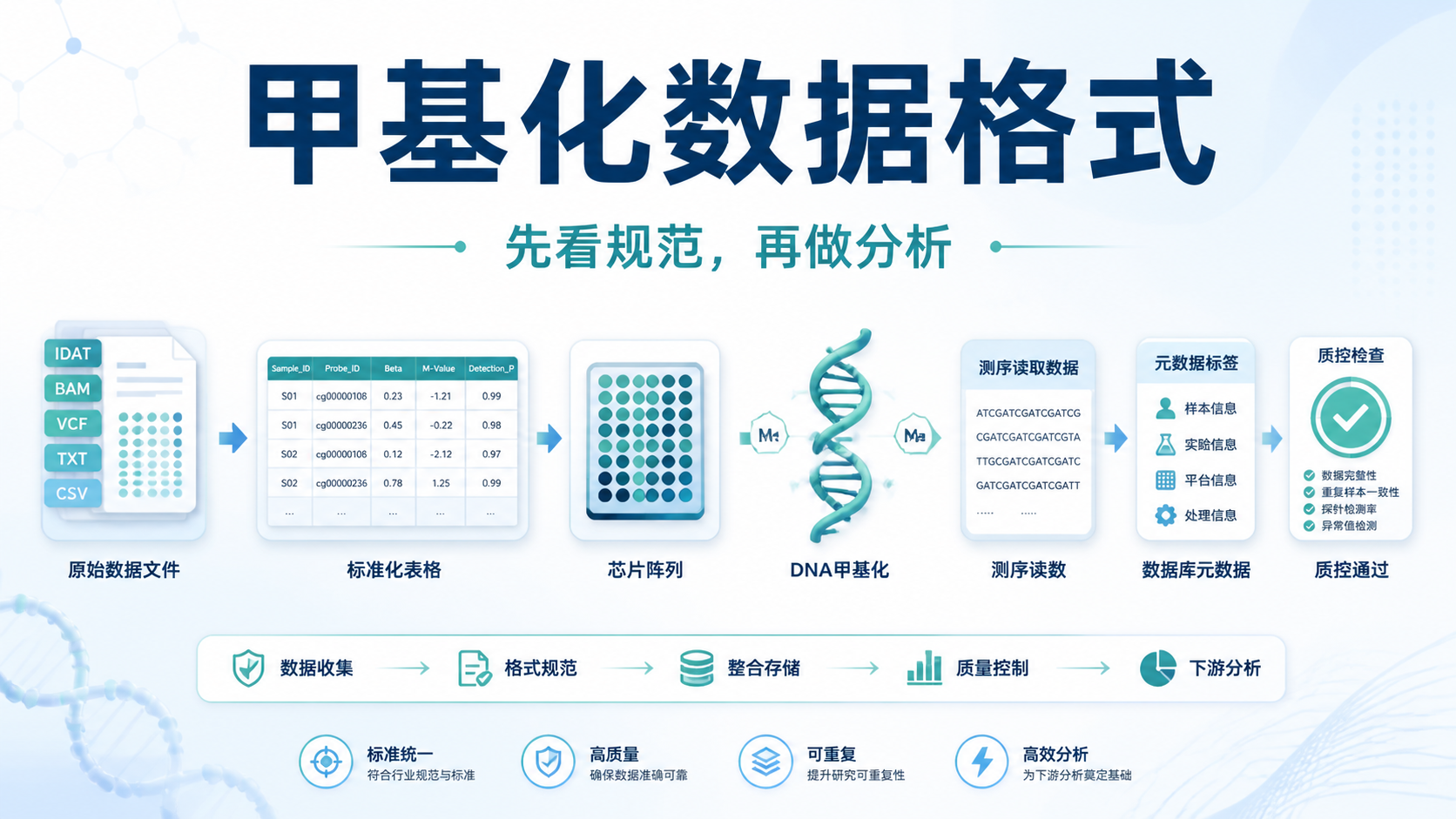 甲基化数据格式解析：3大核心规范是什么？