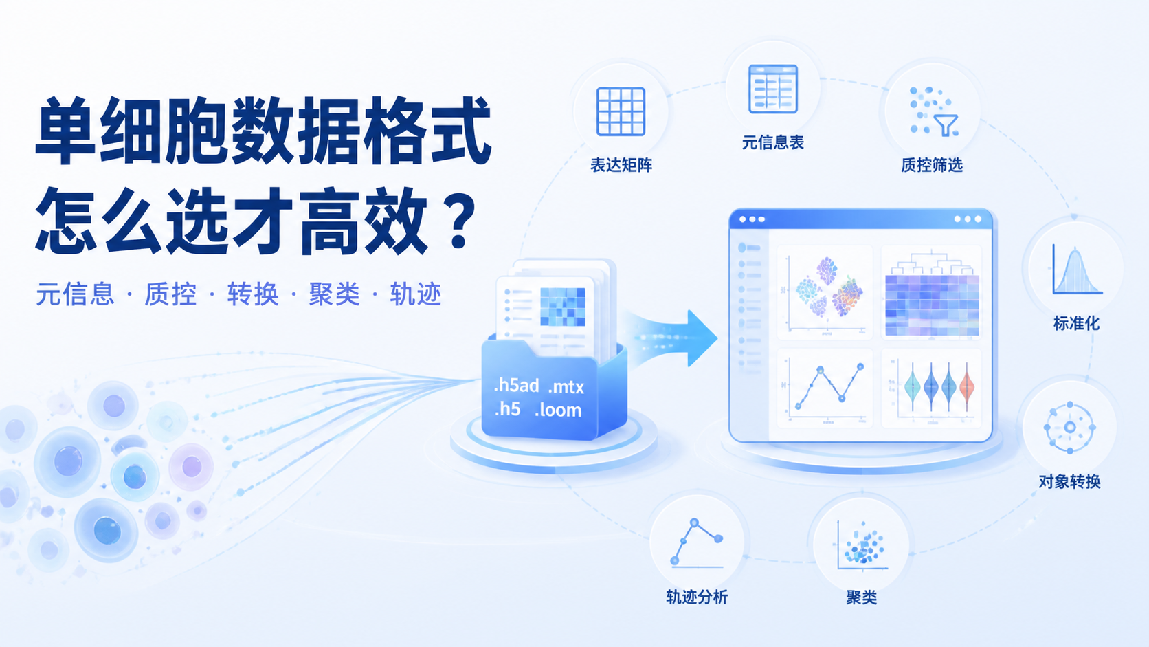 单细胞数据格式怎么选？7步快速判断