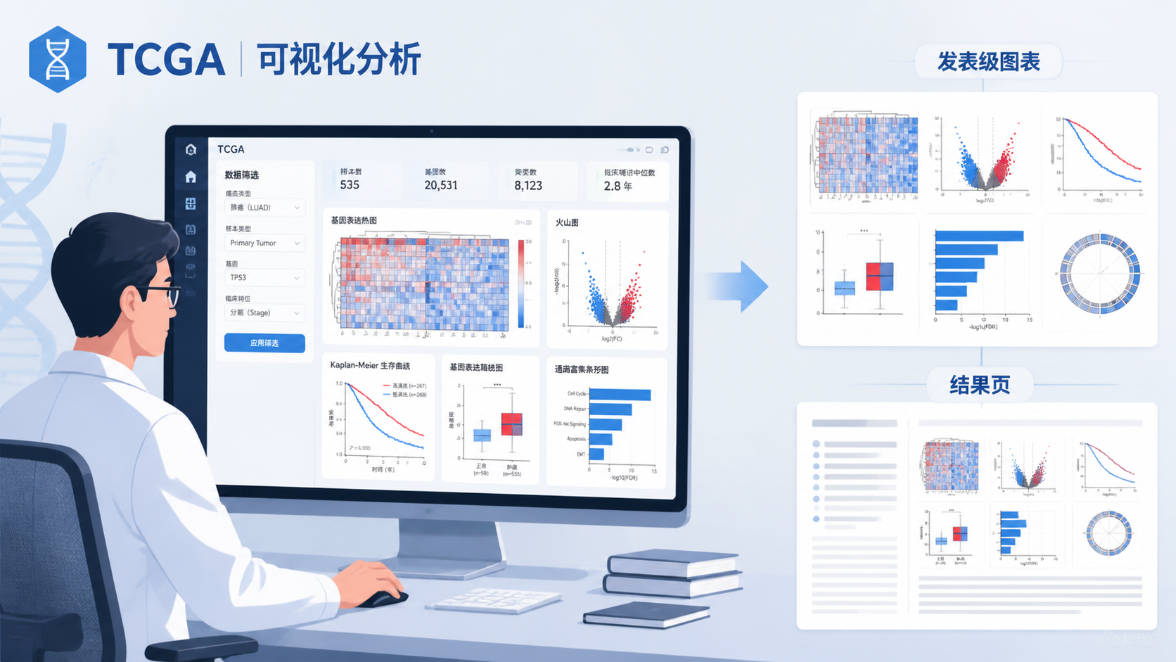 一张科研人员在电脑前使用数据库平台完成TCGA可视化分析，并输出发表级图表的场景图，突出高效、规范、专业。
