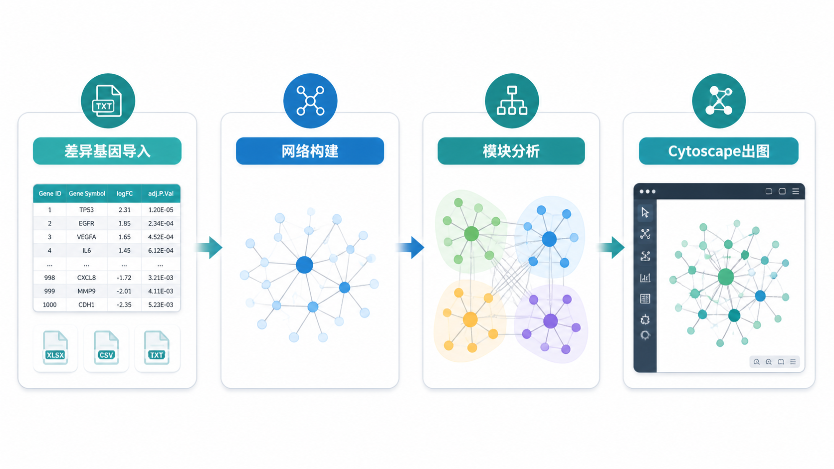 一张整洁的科研流程图,展示从差异基因导入、网络构建、模块分析到Cytoscape出图的完整步骤,强调高效科研分析。