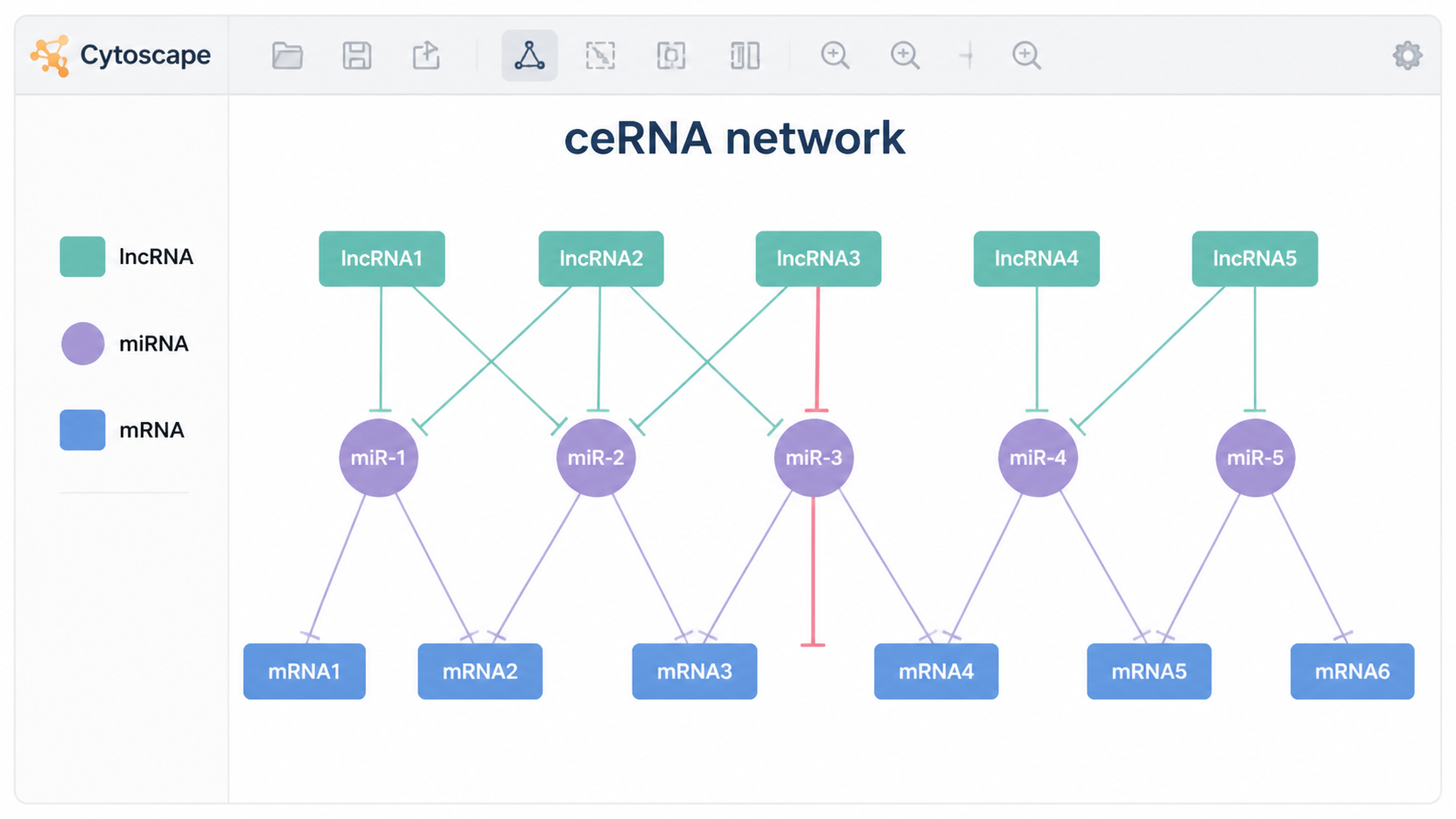 Cytoscape界面中展示一个清晰的ceRNA网络图，包含lncRNA、miRNA、mRNA三类节点，不同颜色和形状区分，背景为论文配图风格。