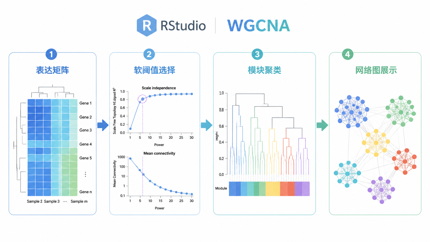 RStudio中WGCNA分析流程示意图，包含表达矩阵、软阈值选择、模块聚类和网络图展示的四步流程图