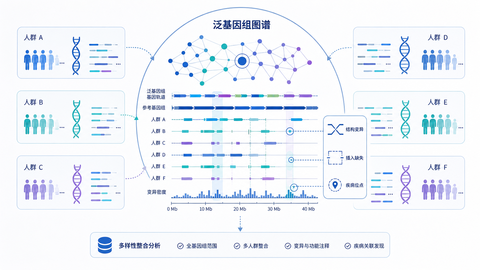 多个人群基因组汇聚成一个泛基因组图谱,旁边标注结构变异、插入缺失和疾病位点。