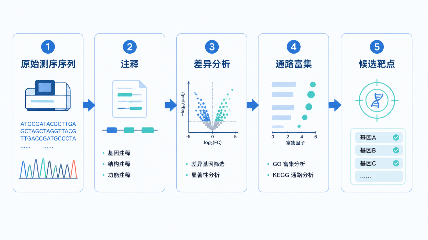 一张从原始测序序列到注释、差异分析、通路富集、候选靶点输出的流程图，风格简洁专业