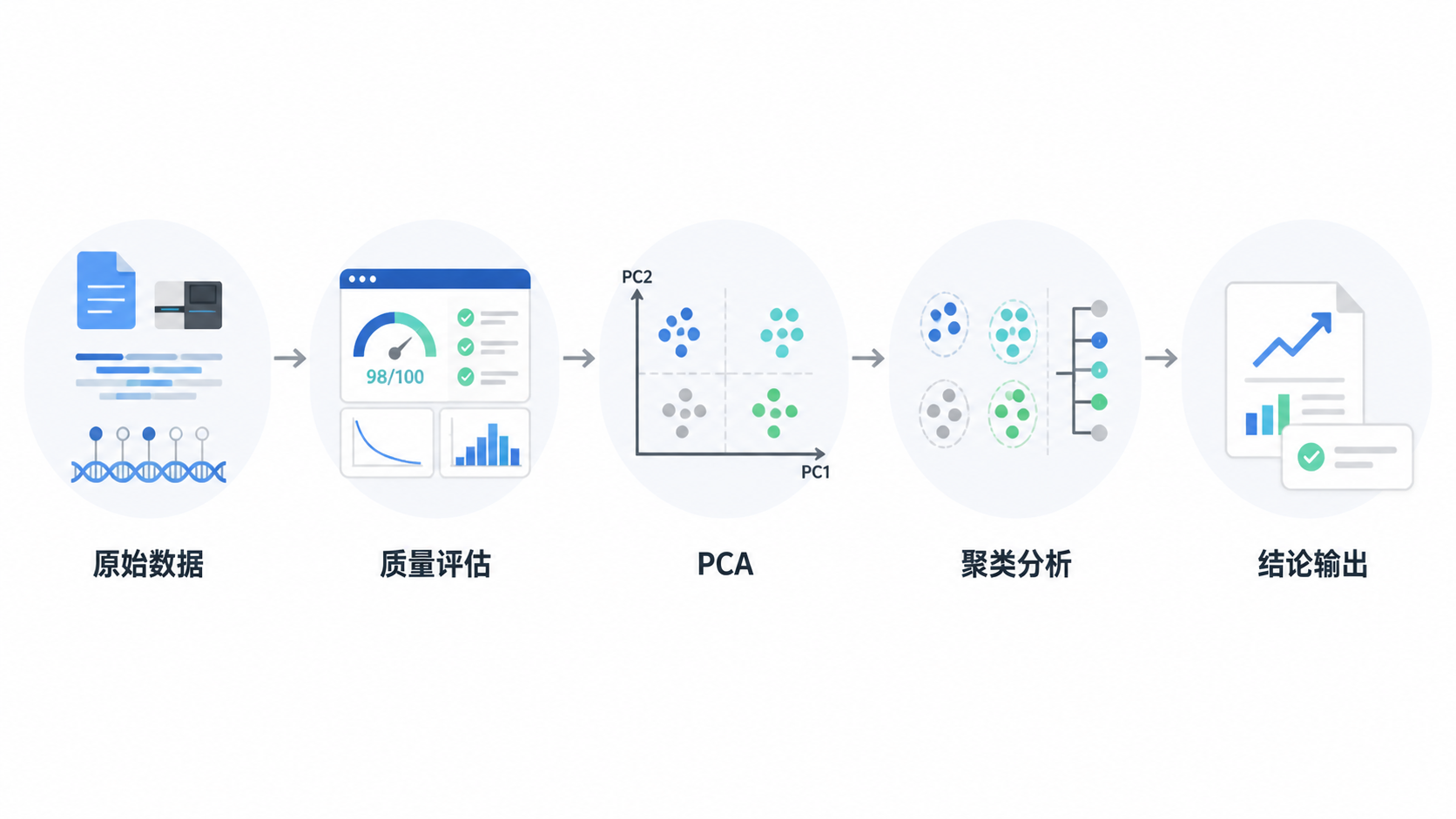 一张干净的科研工作流示意图，展示从原始表观测序数据到质量评估、PCA、聚类分析，再到结论输出的完整路径。