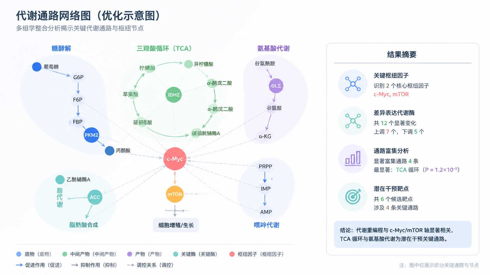 一张经过优化的代谢通路网络图成稿示意，重点节点高亮，模块分区清晰，旁边配有论文结果摘要框。