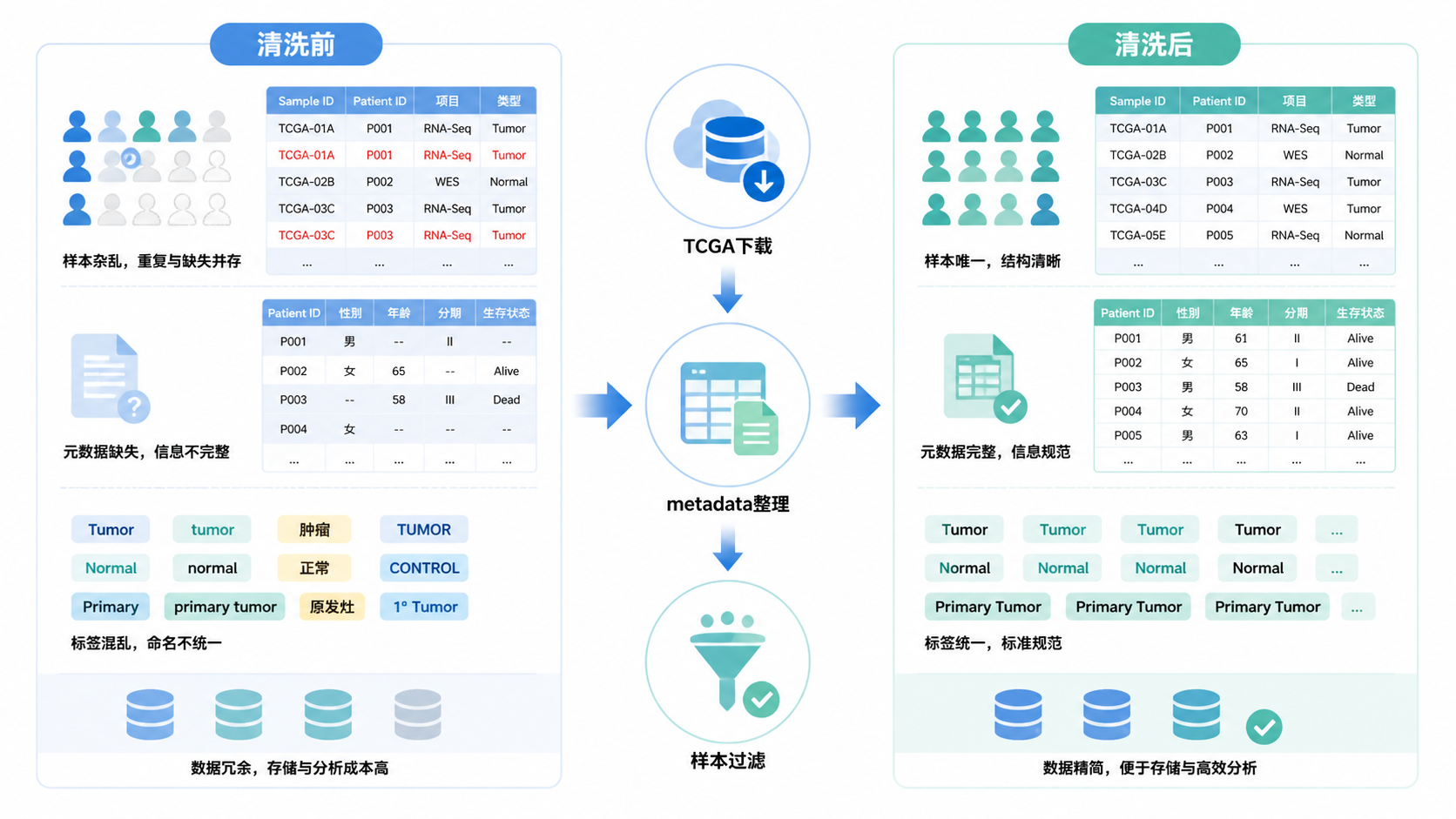 TCGA测序数据从下载、metadata整理到样本过滤的流程图，强调清洗前后的对比