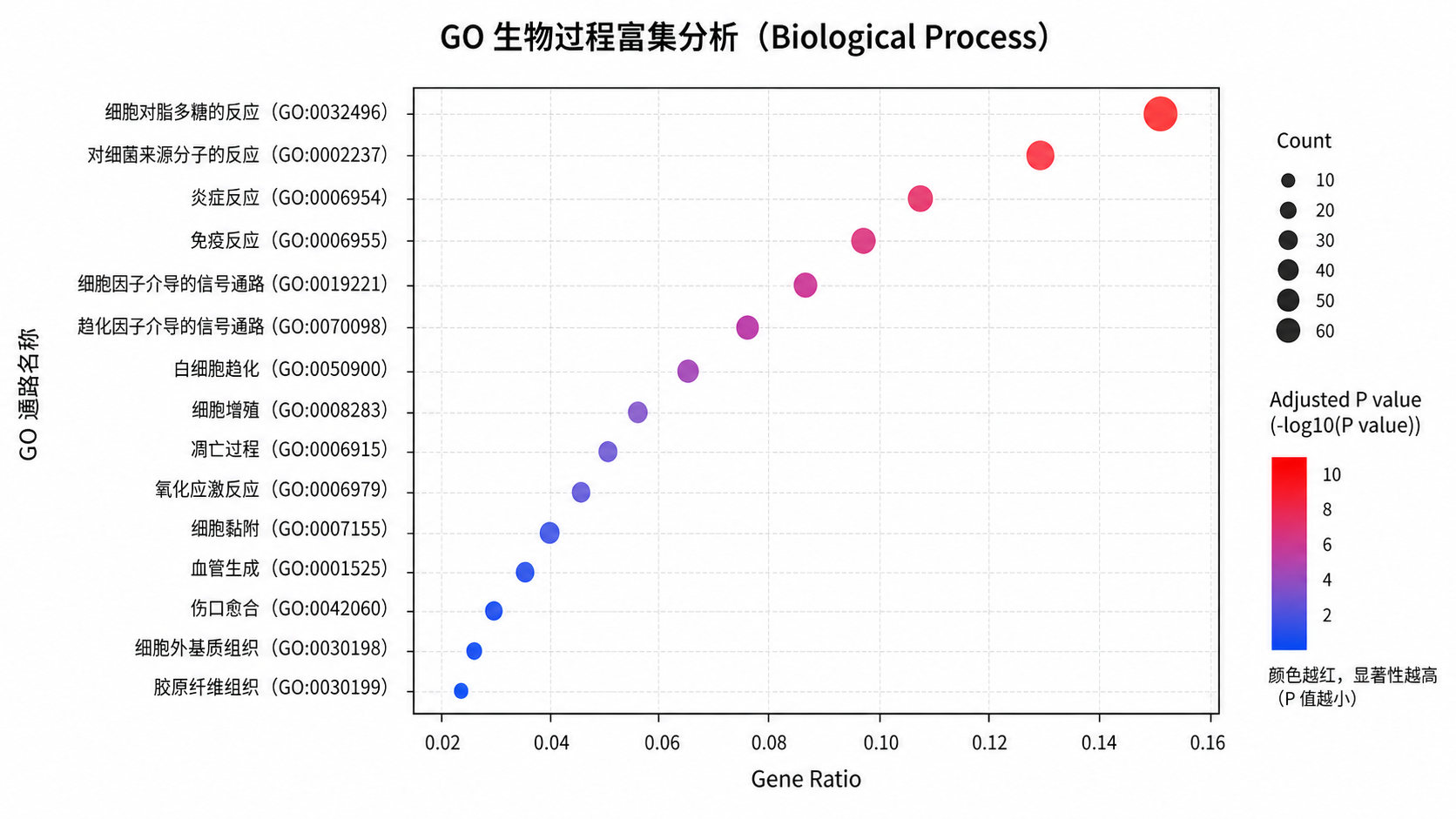 一张典型GO/KEGG富集气泡图,标出横轴、纵轴、气泡大小和颜色含义,适合论文方法与结果页展示。