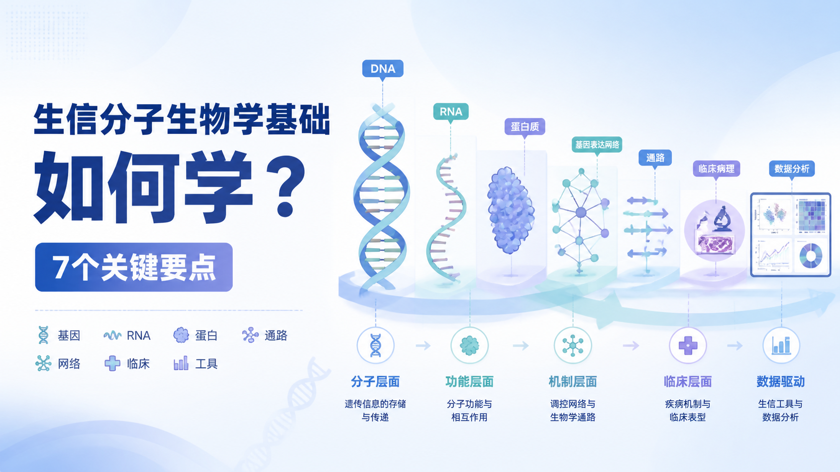 生信分子生物学基础如何学？7个关键要点