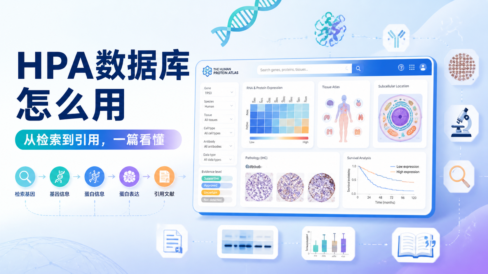 HPA数据库怎么用？3类用户必看指南