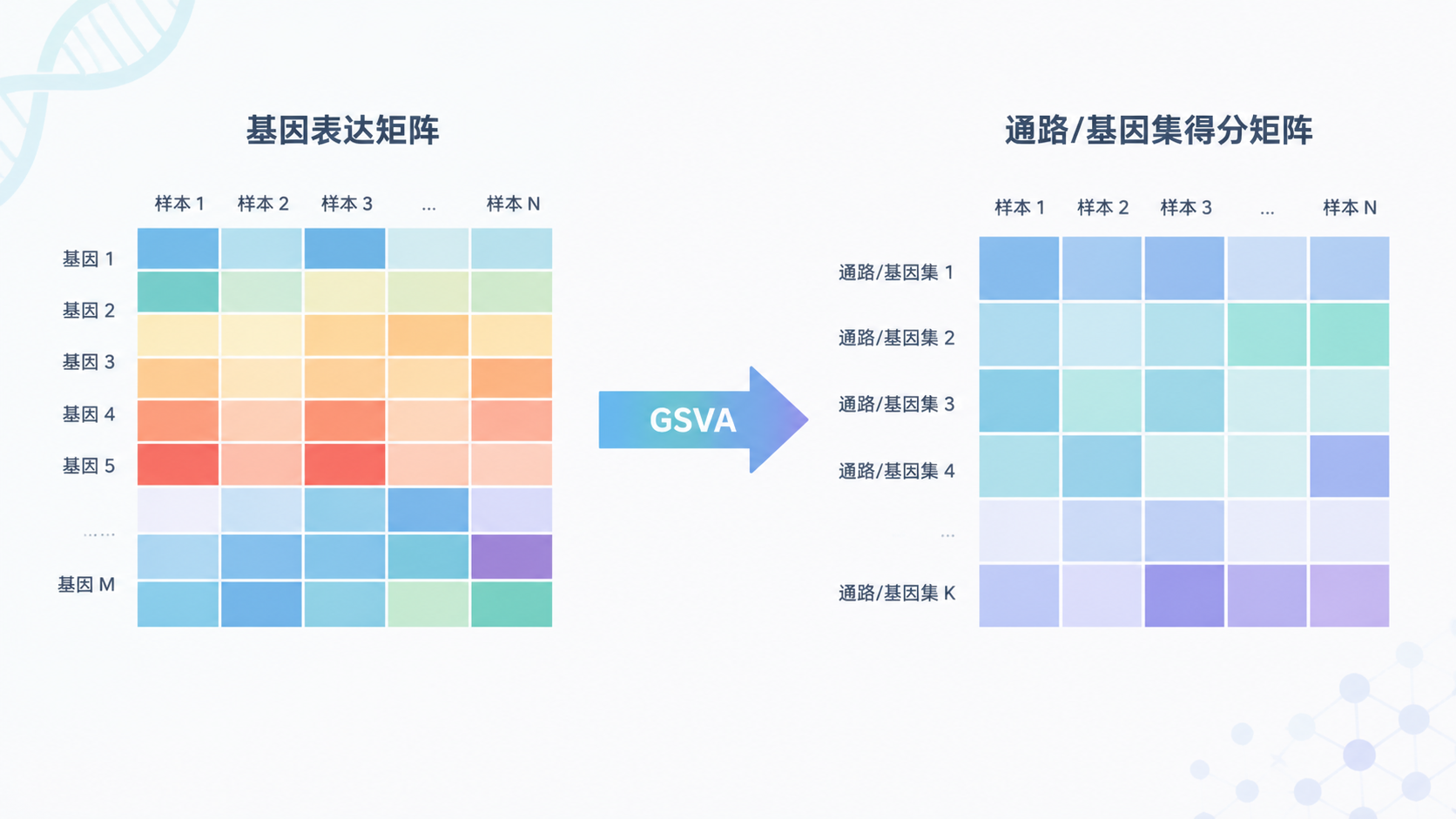 生信分析场景图，左侧为基因表达矩阵，右侧为通路/基因集得分矩阵，中间用箭头表示GSVA将基因层面转换为通路层面。