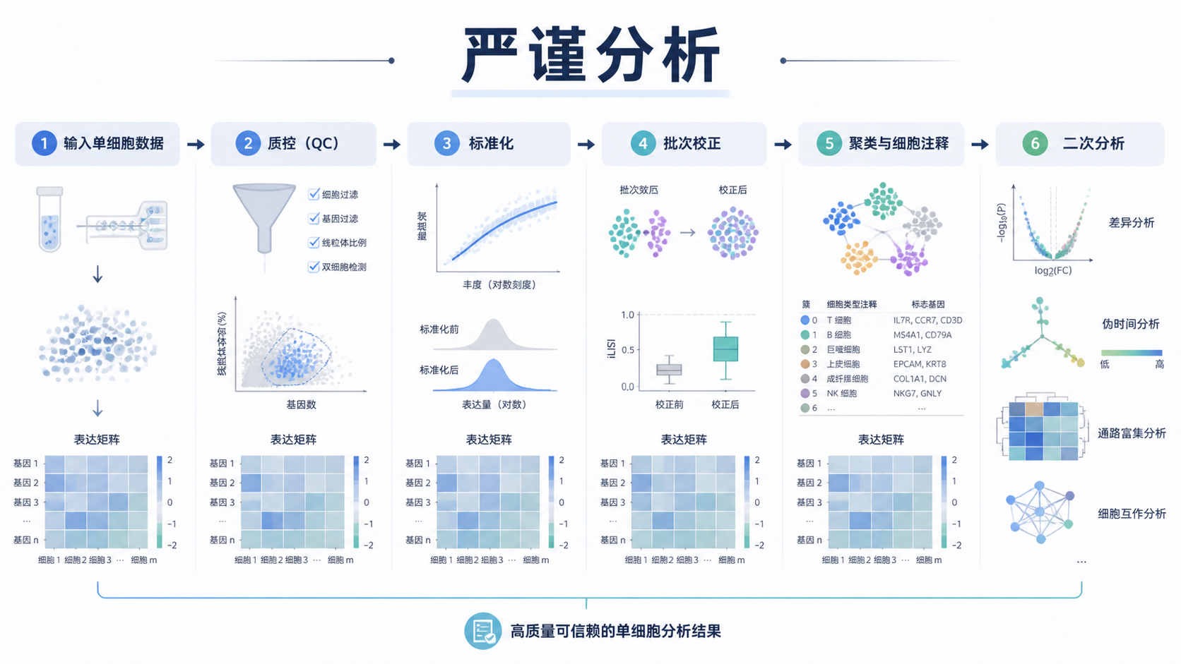 单细胞数据分析的分层流程图，突出质控、标准化、批次校正、聚类注释与二次分析，并加入“严谨分析”主题视觉元素