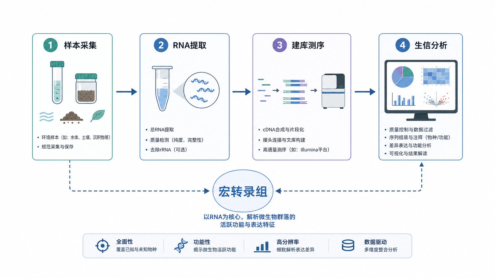 实验流程示意图,包含样本采集、RNA提取、建库测序、生信分析四个环节,并以宏转录组为核心标注数据流向